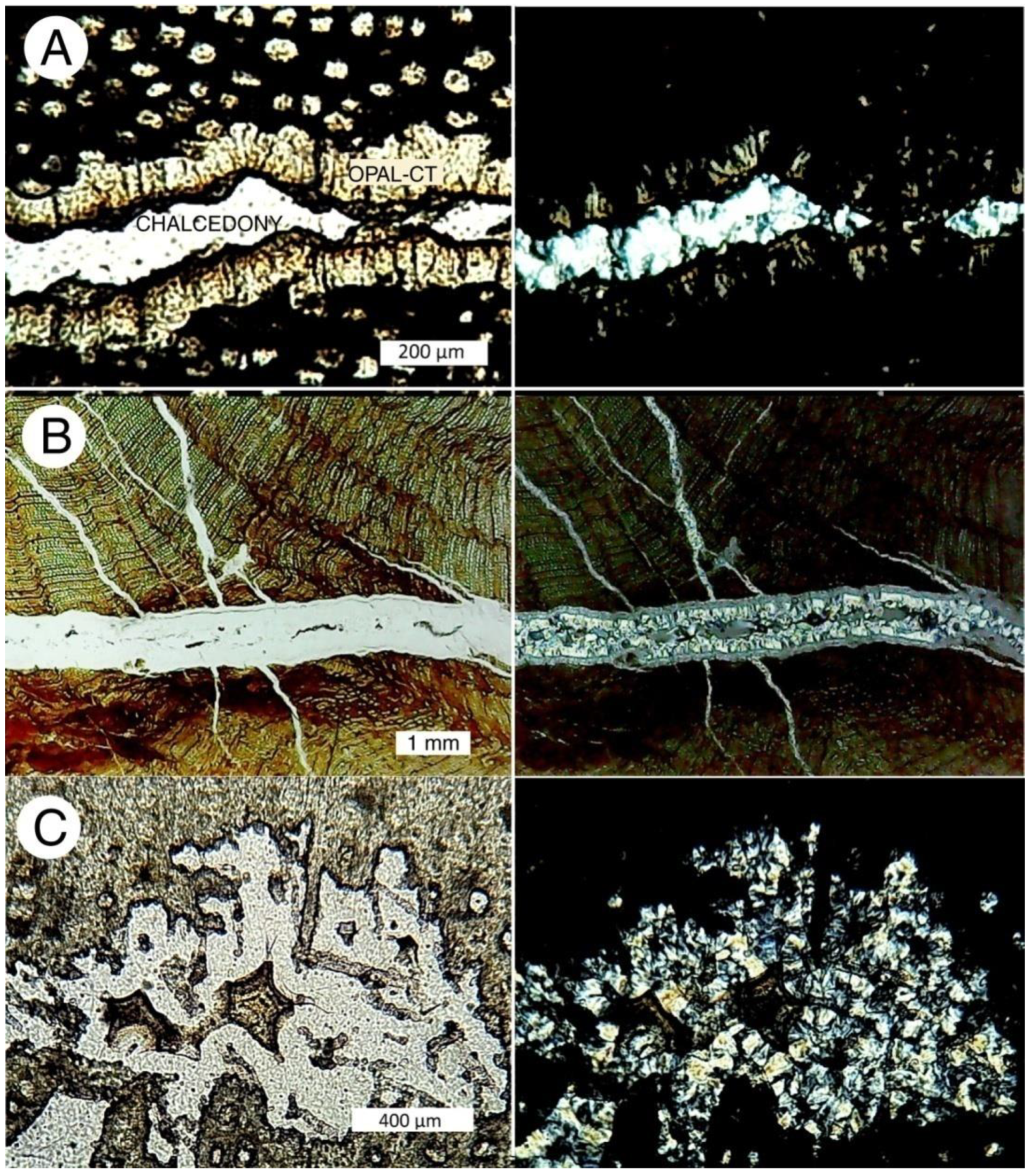 Minerals 12 00131 g020