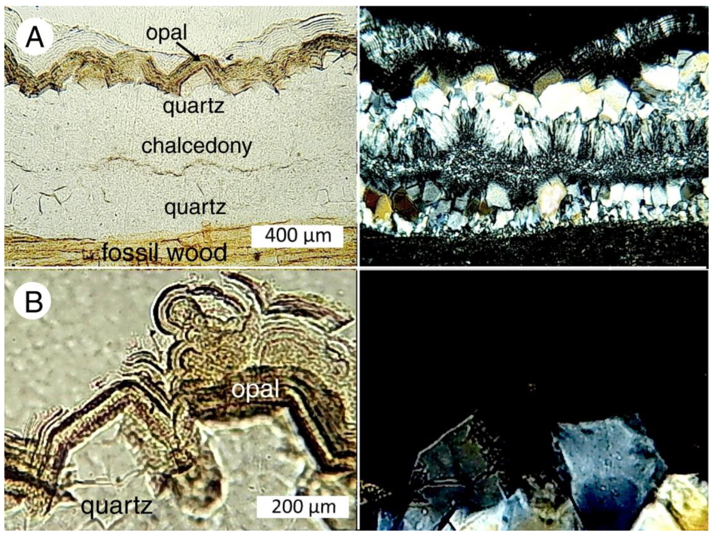 Minerals 12 00131 g021