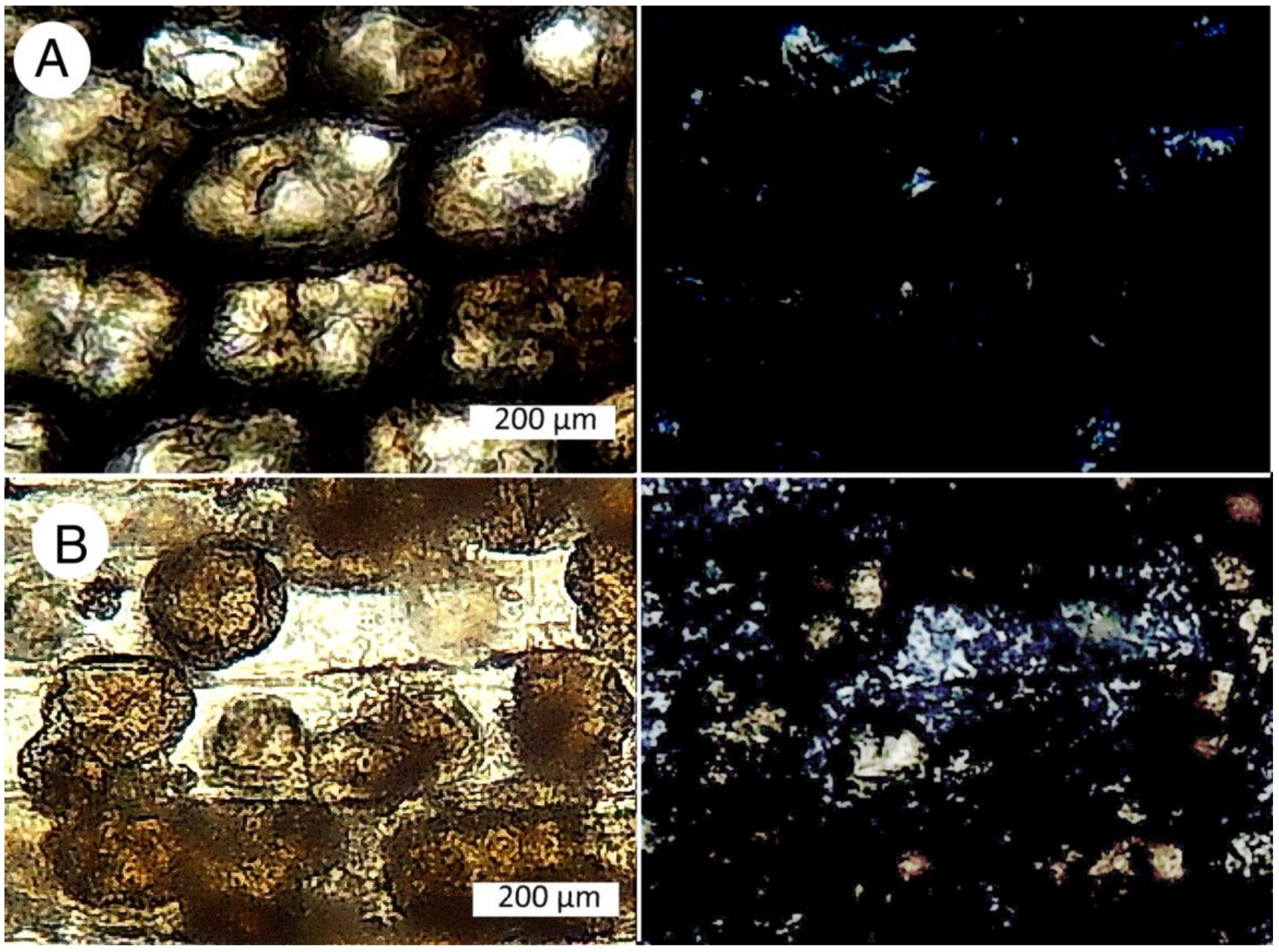 Minerals 12 00131 g025