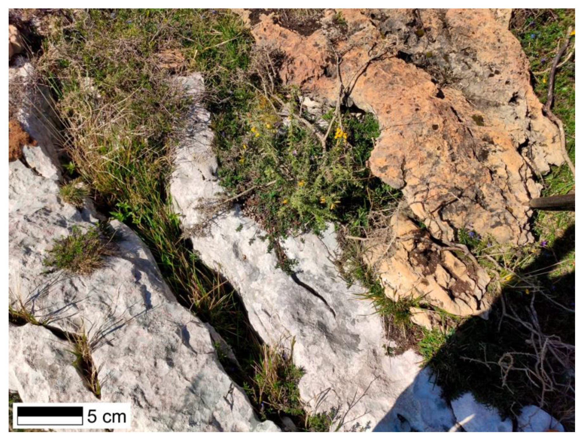 Minerals 12 00140 g010