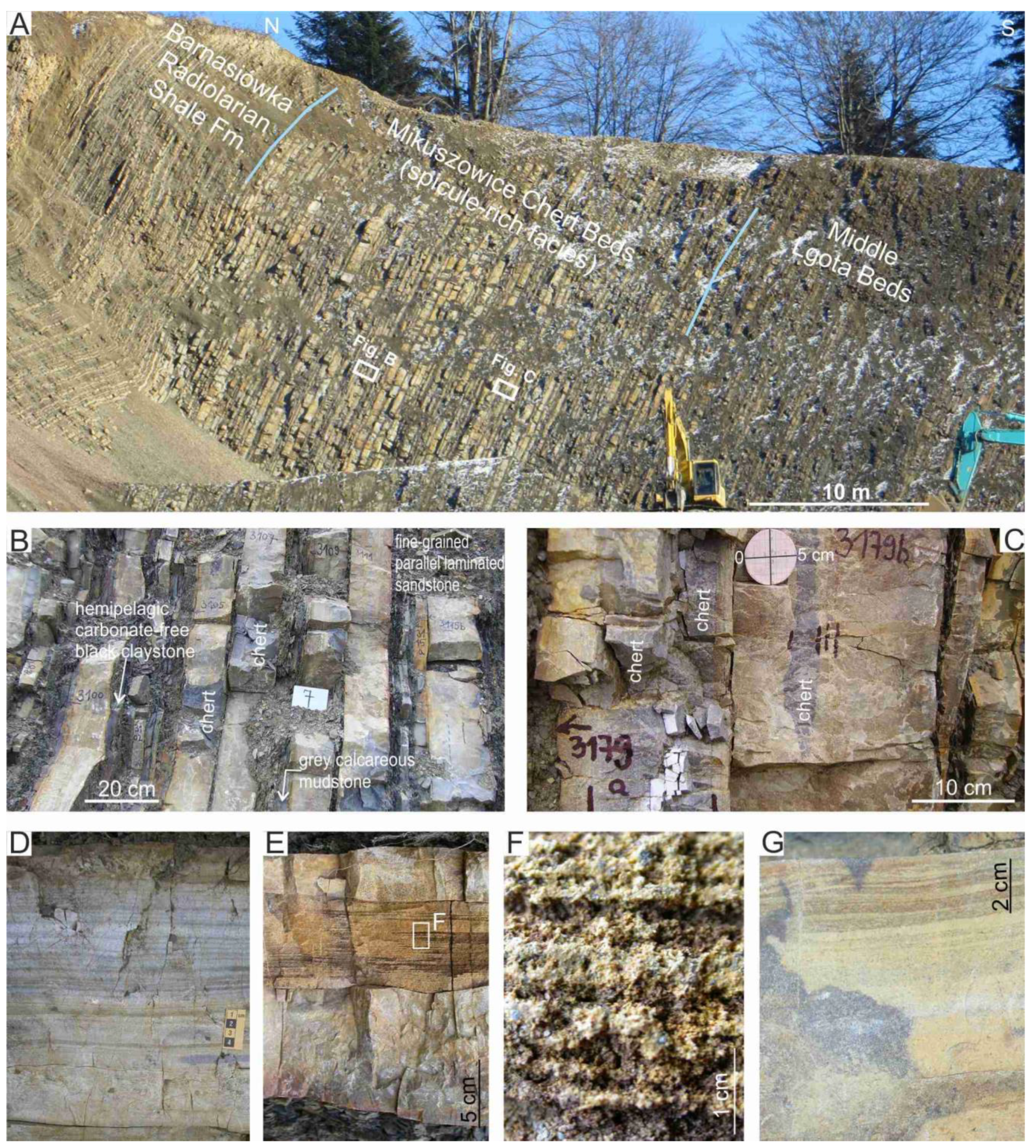 Minerals 12 00152 g003 Minerals 12 00152 g003