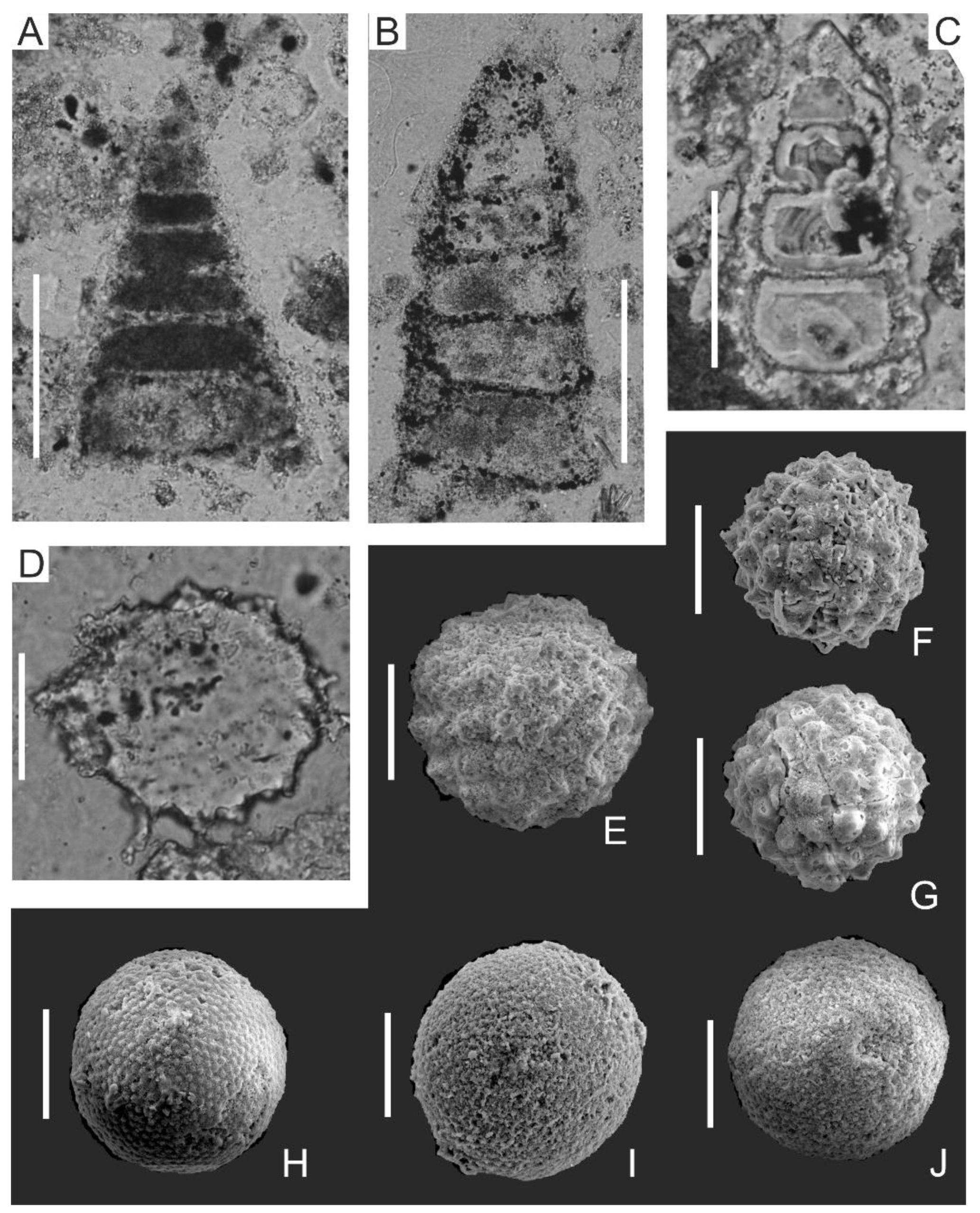 Minerals 12 00152 g008 Minerals 12 00152 g008