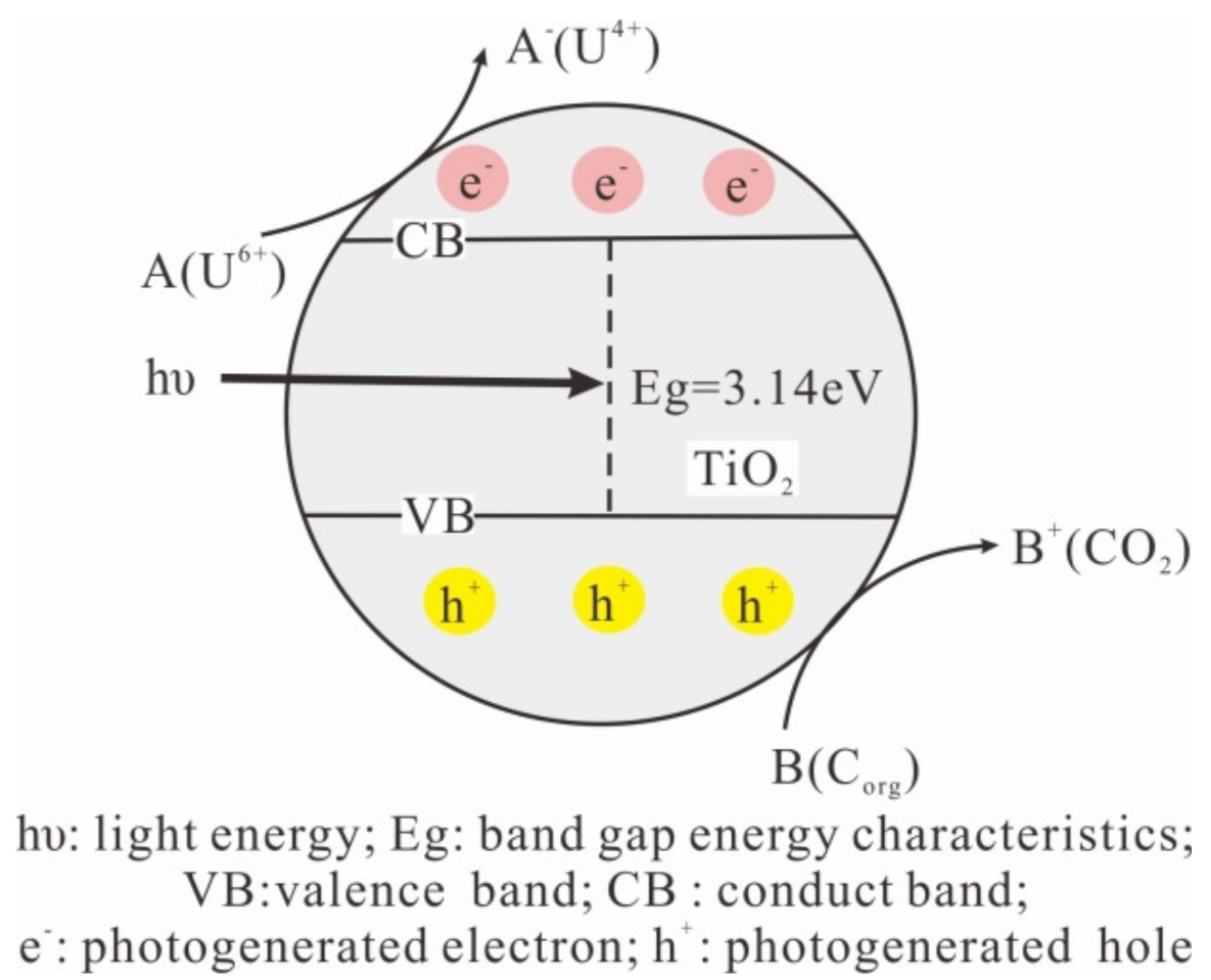 Minerals 12 00167 g007