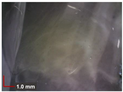 Minerals 12 00193 i002