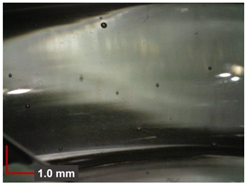 Minerals 12 00193 i006