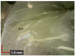 Minerals 12 00193 i010