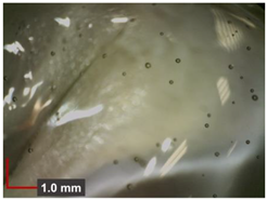 Minerals 12 00193 i012