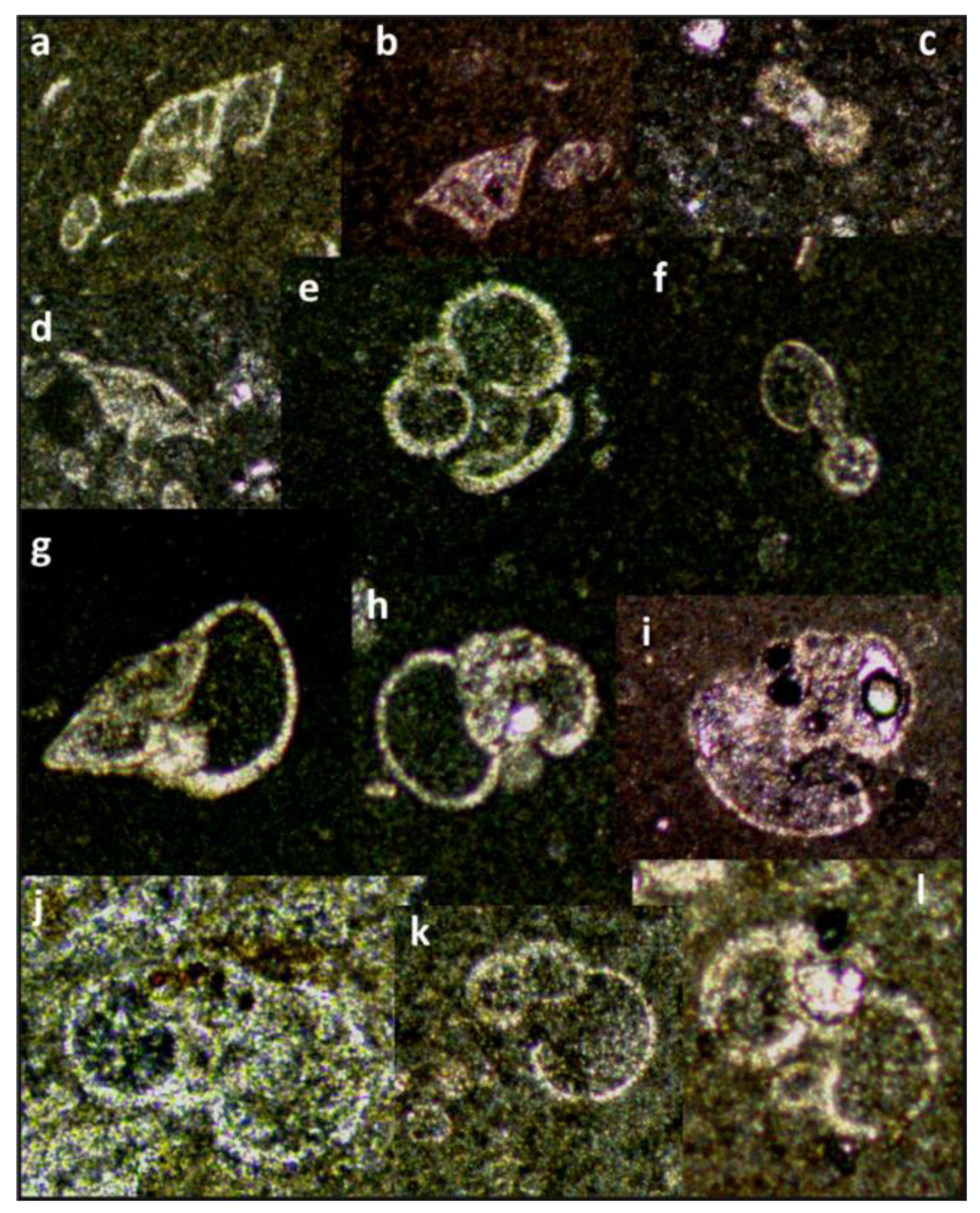 Minerals 12 00201 g005