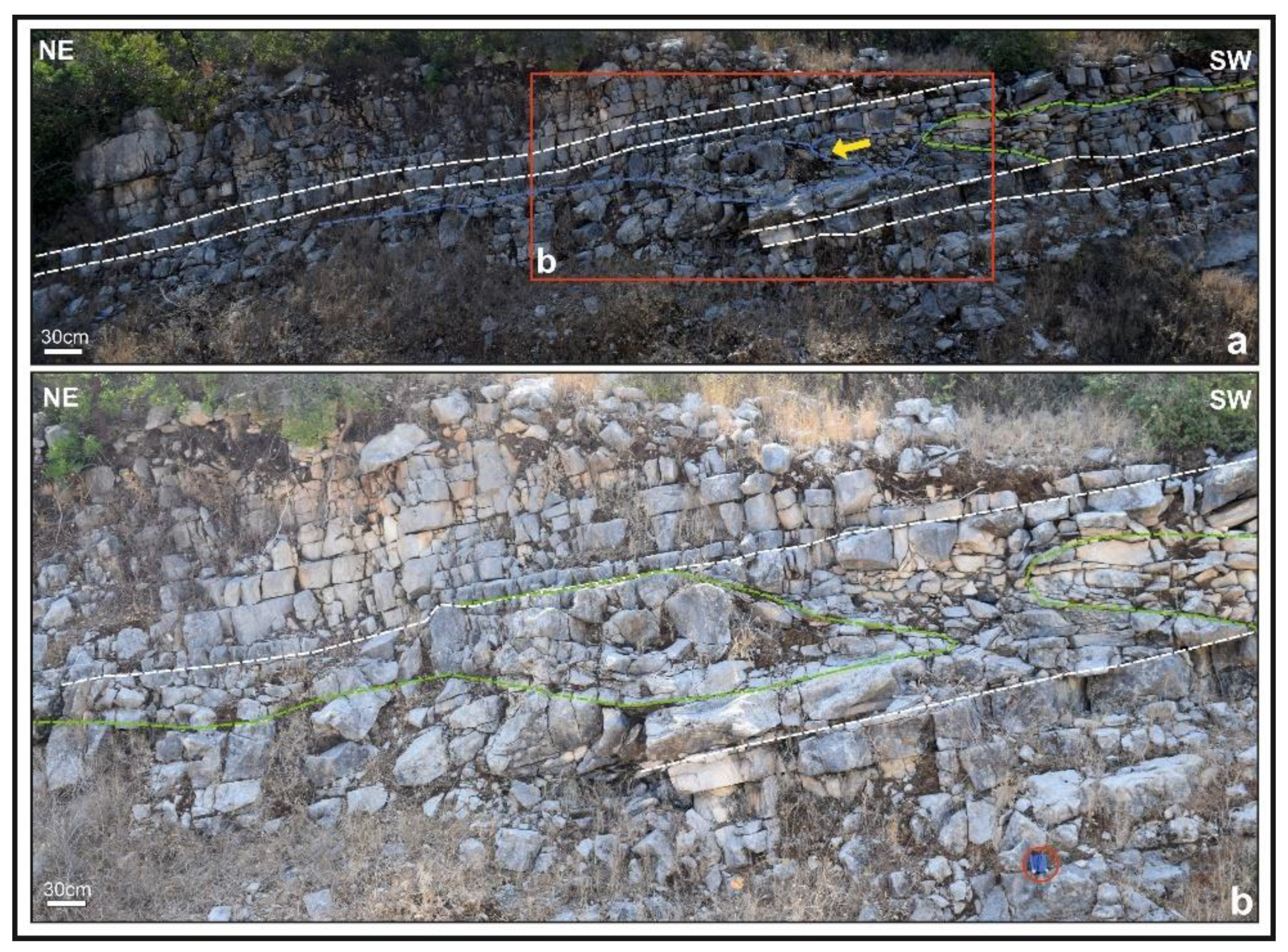 Minerals 12 00201 g012