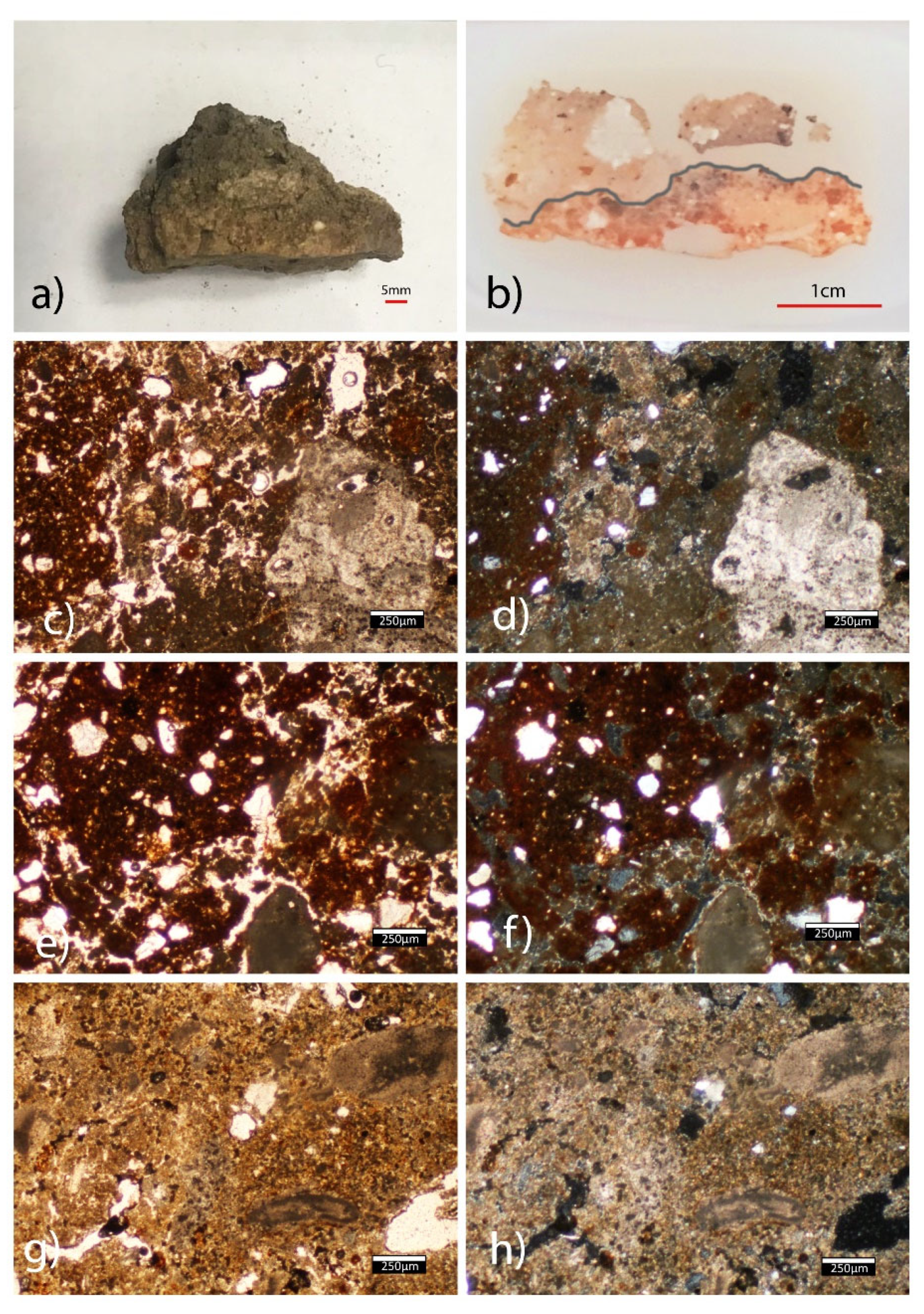 Minerals 12 00218 g008