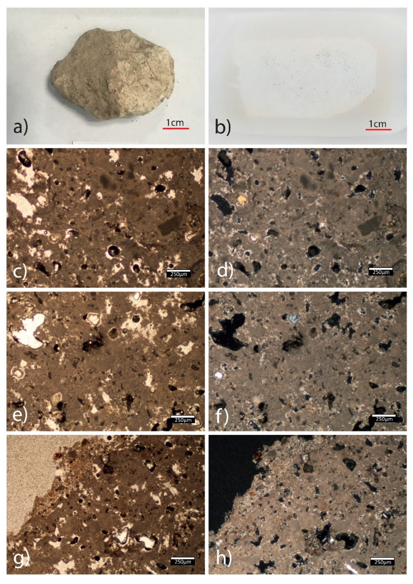 Minerals 12 00218 g009