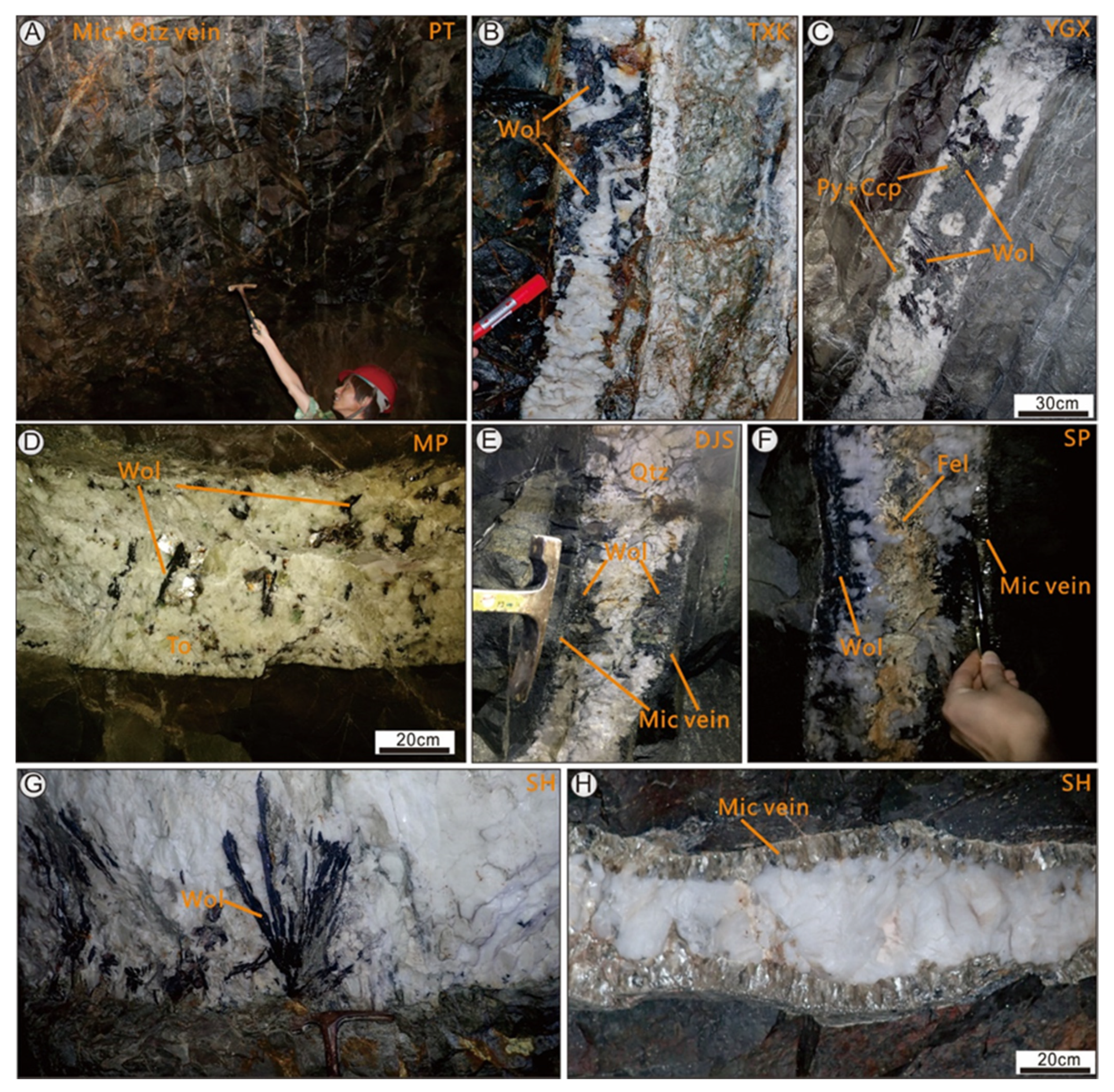 Minerals 12 00237 g003