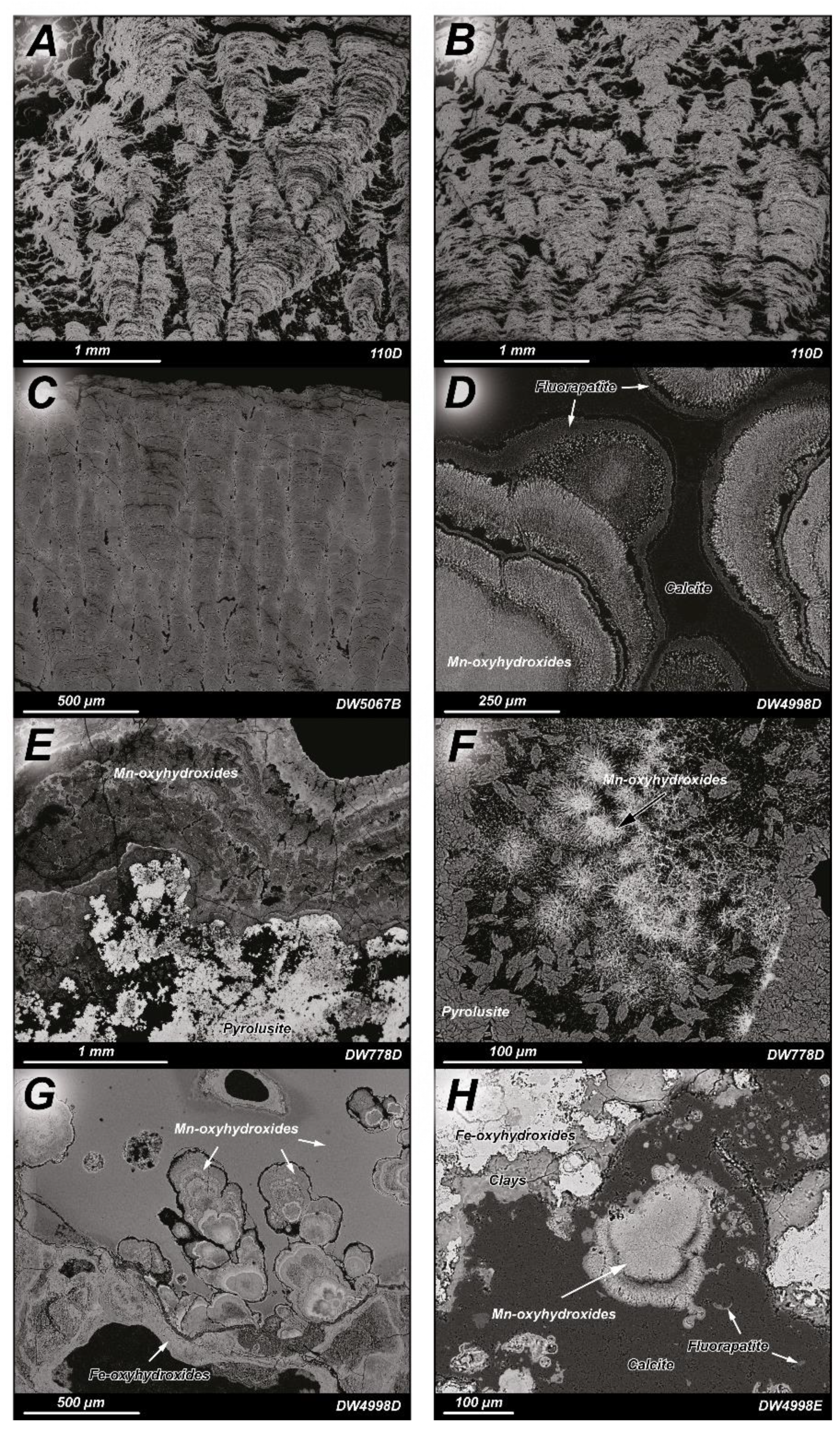 Minerals 12 00255 g004