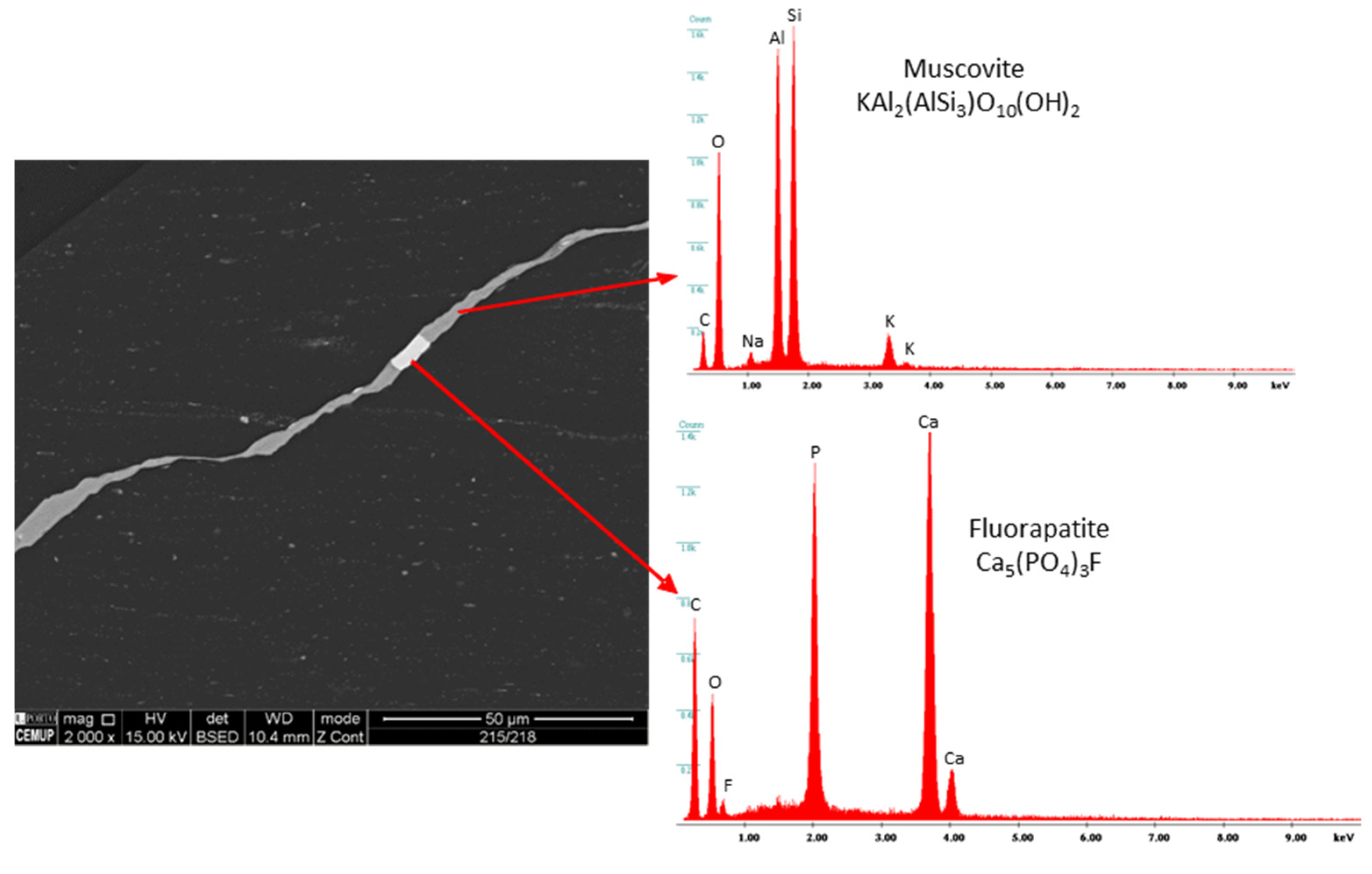 Minerals 12 00275 g009