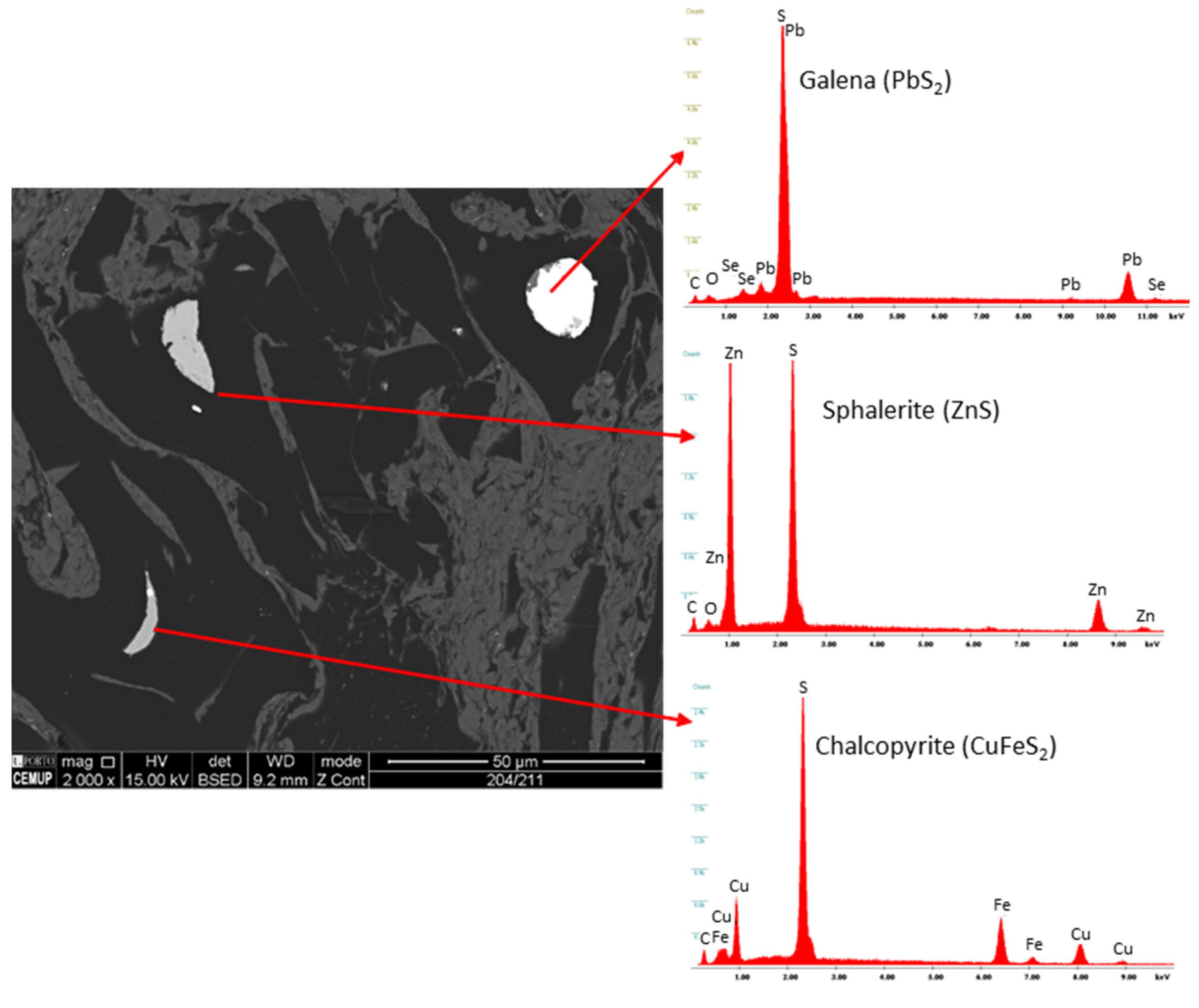 Minerals 12 00275 g010