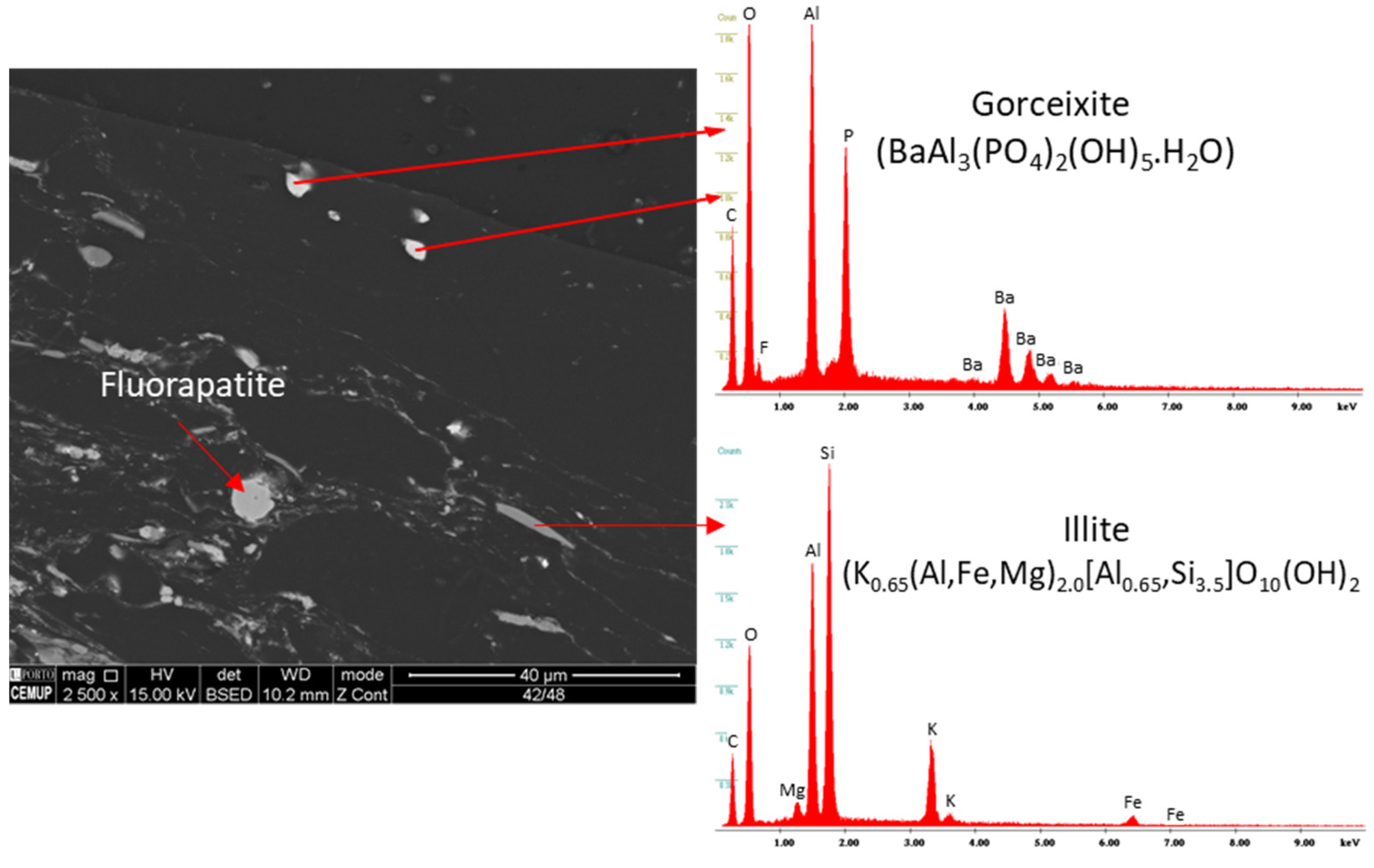 Minerals 12 00275 g012