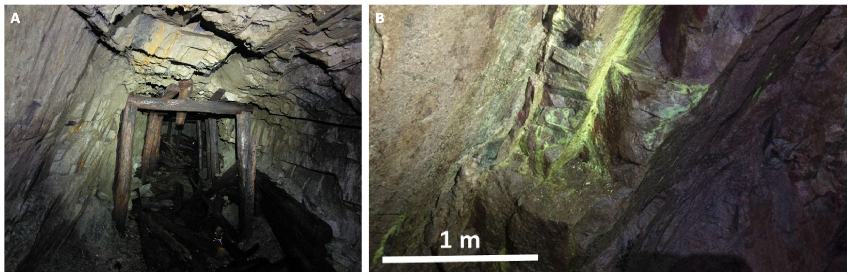 Minerals 12 00307 g002