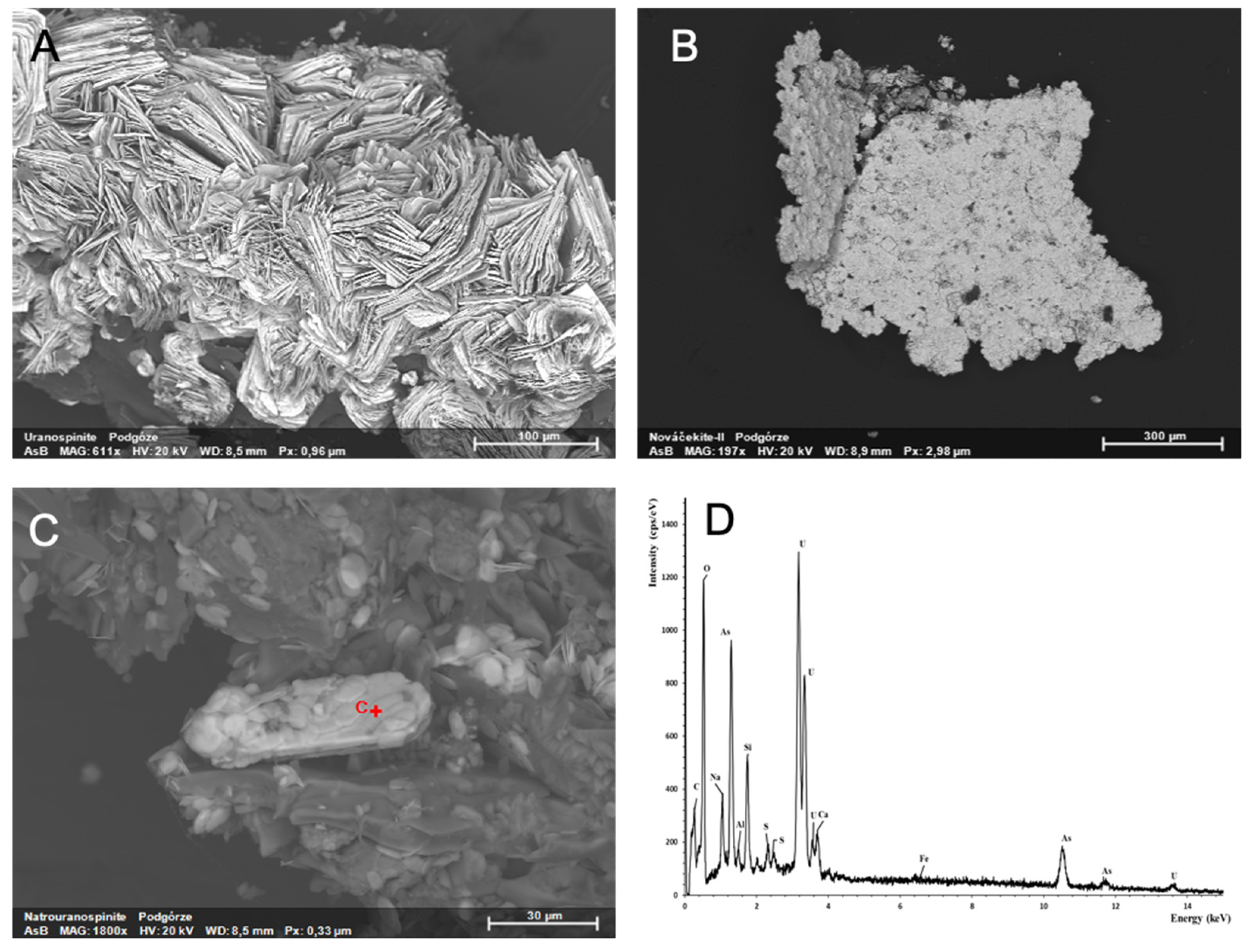 Minerals 12 00307 g004