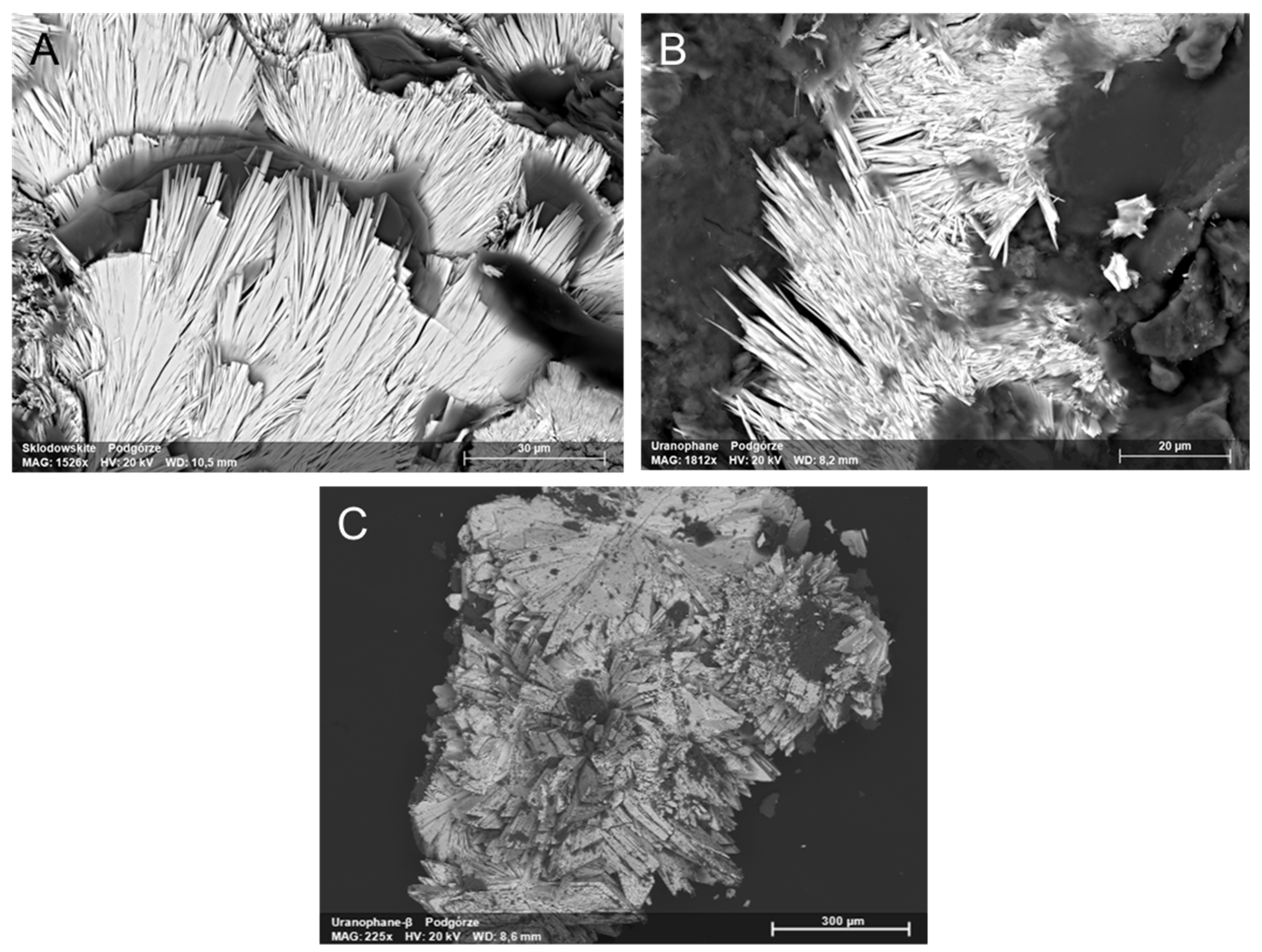 Minerals 12 00307 g006