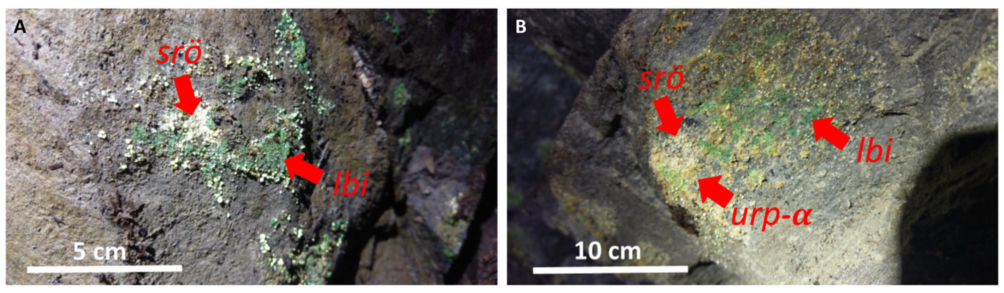 Minerals 12 00307 g016