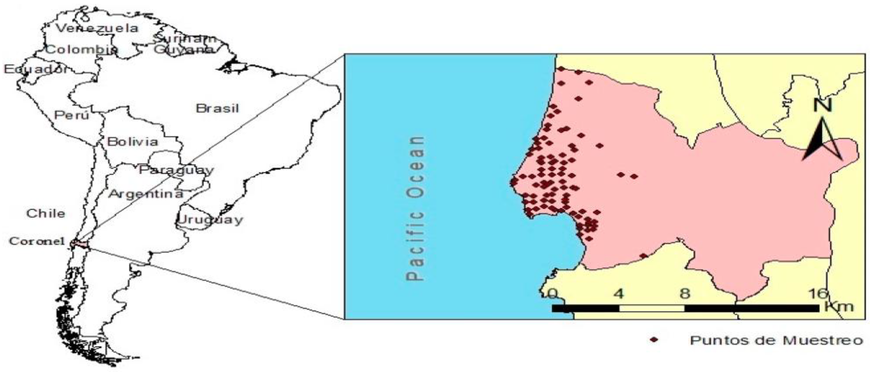 Minerals 12 00320 g001