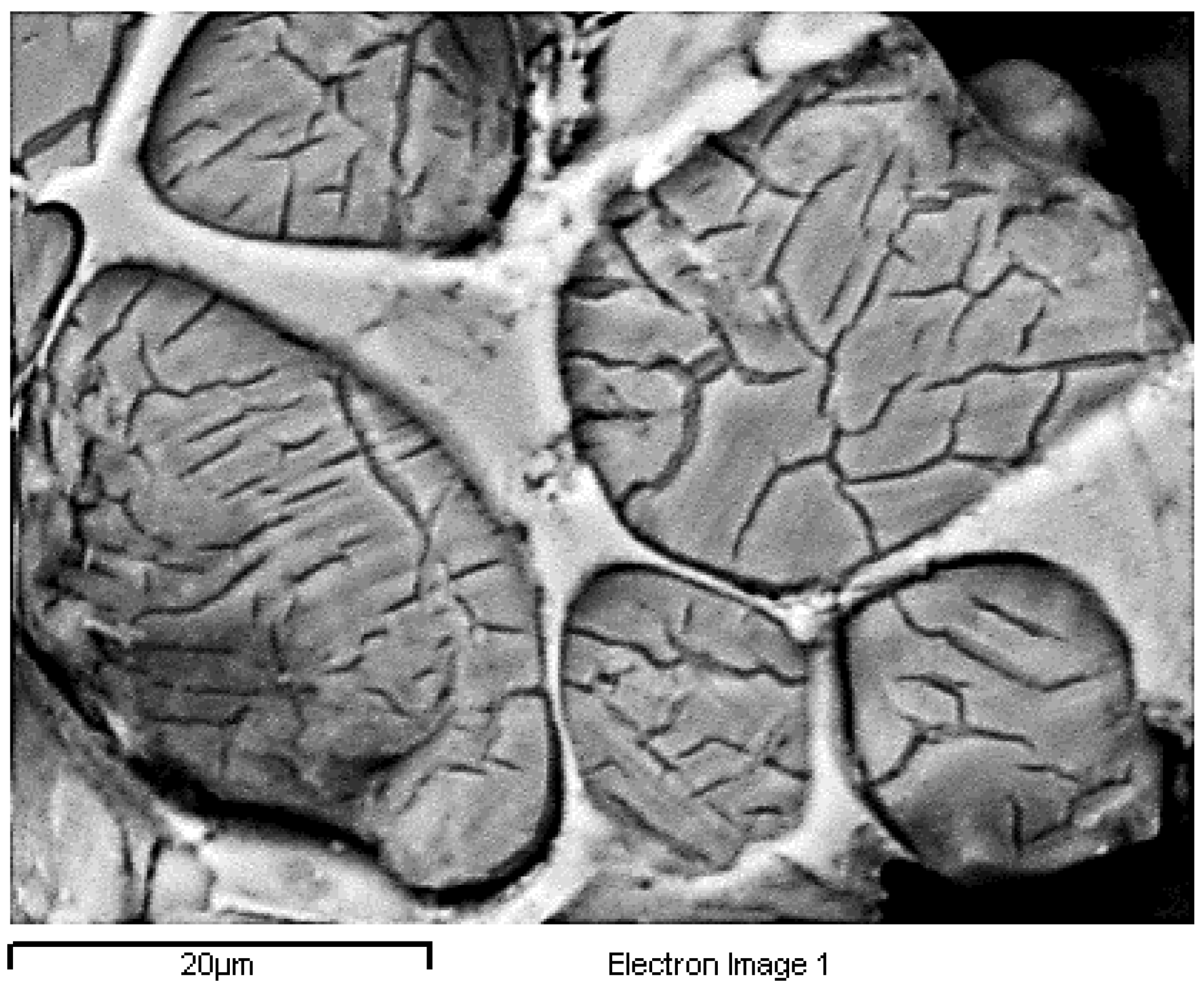 Minerals 12 00324 g014