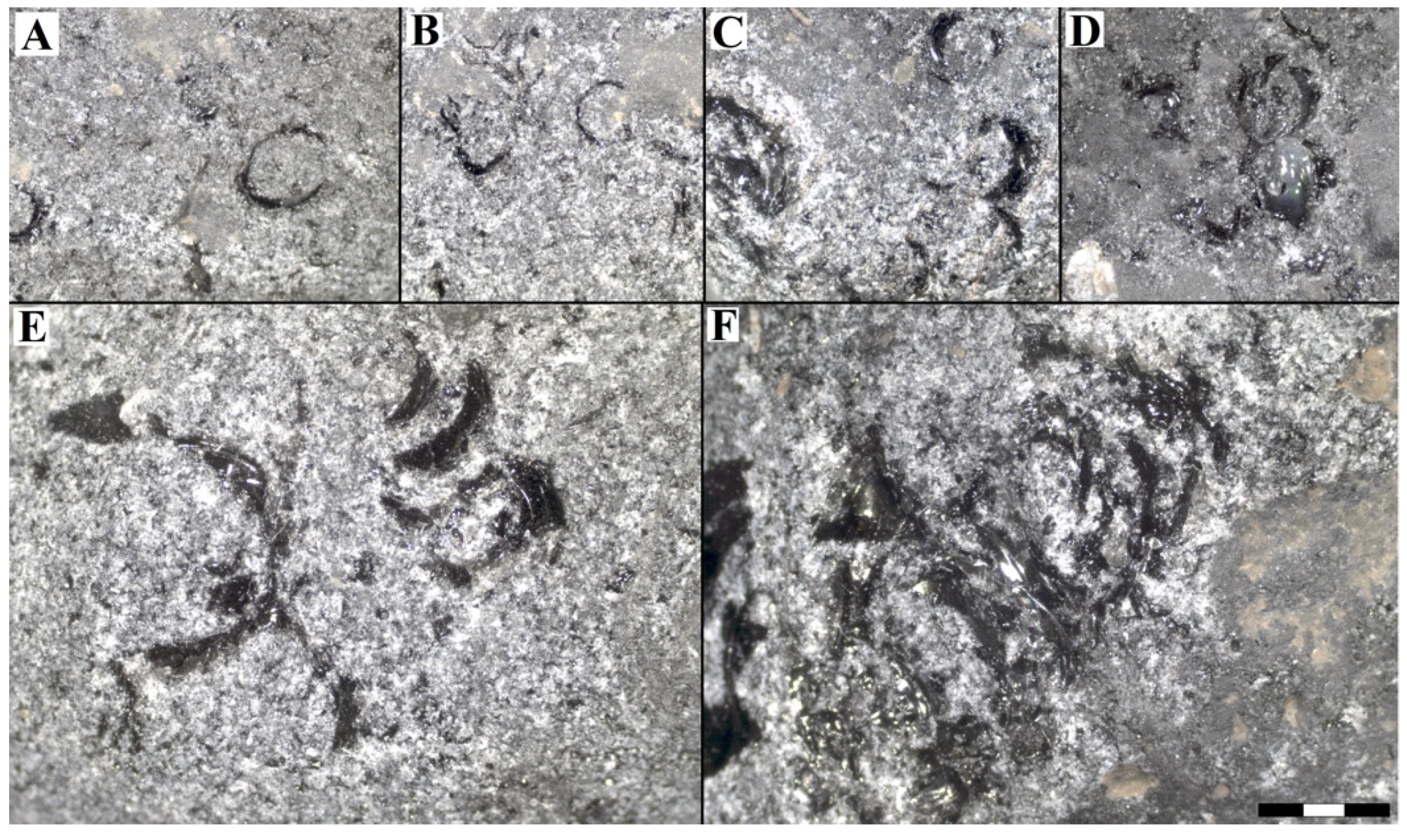 Minerals 12 00343 g008 Minerals 12 00343 g008