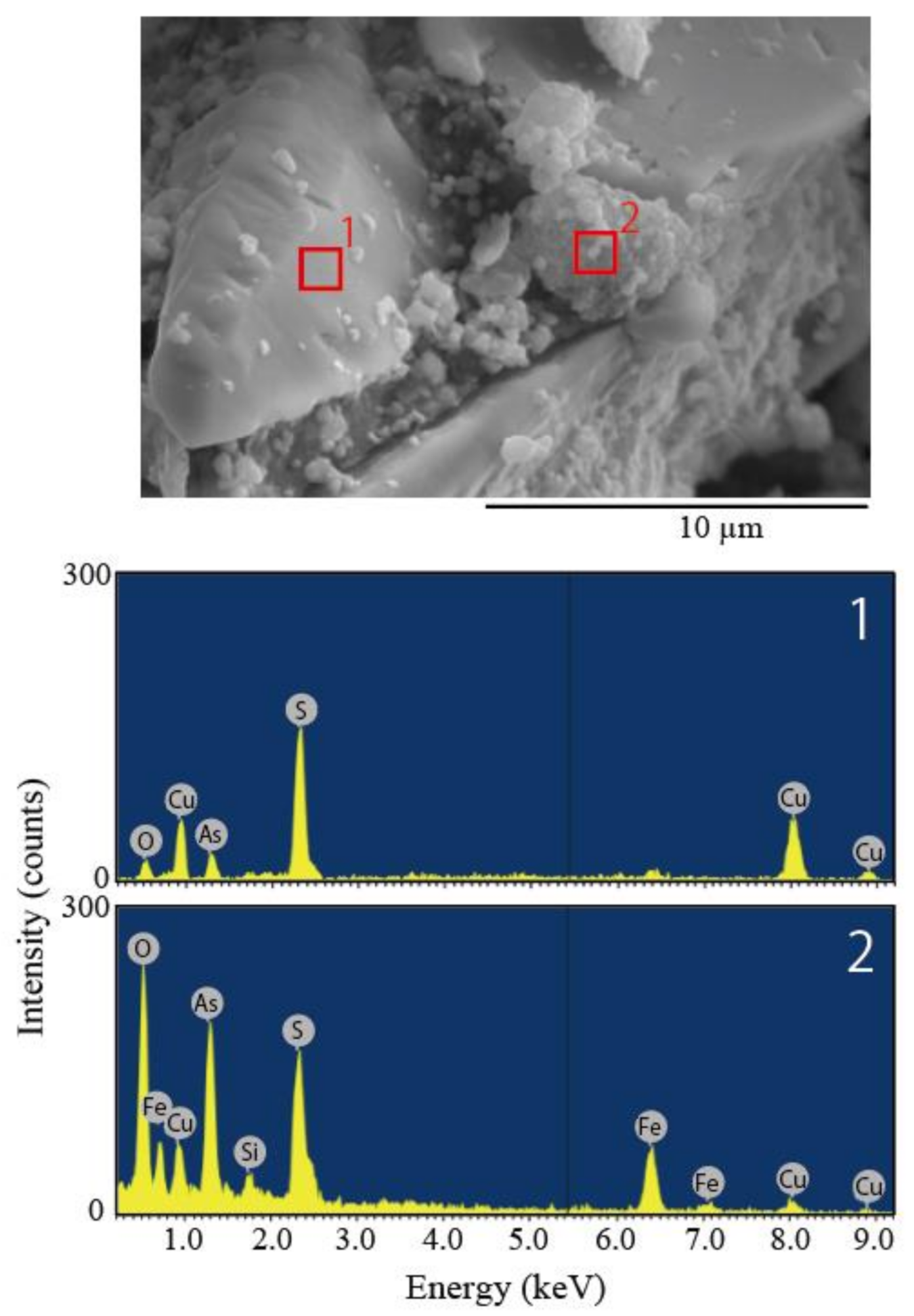 Minerals 12 00449 g005