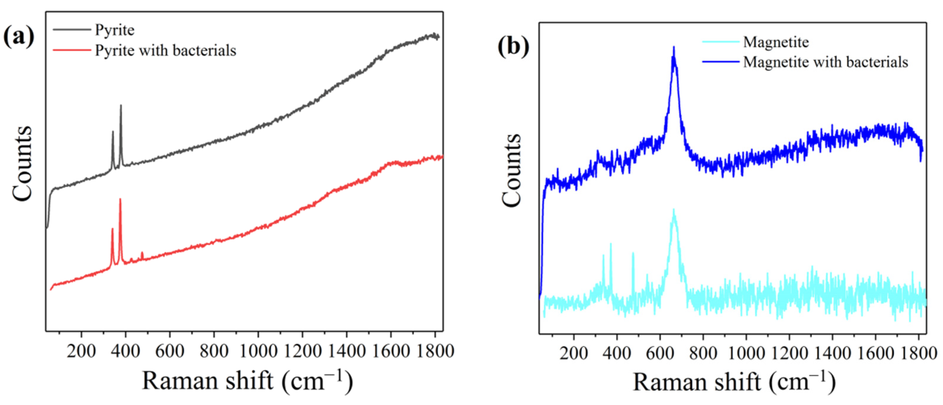 Minerals 12 00460 g005