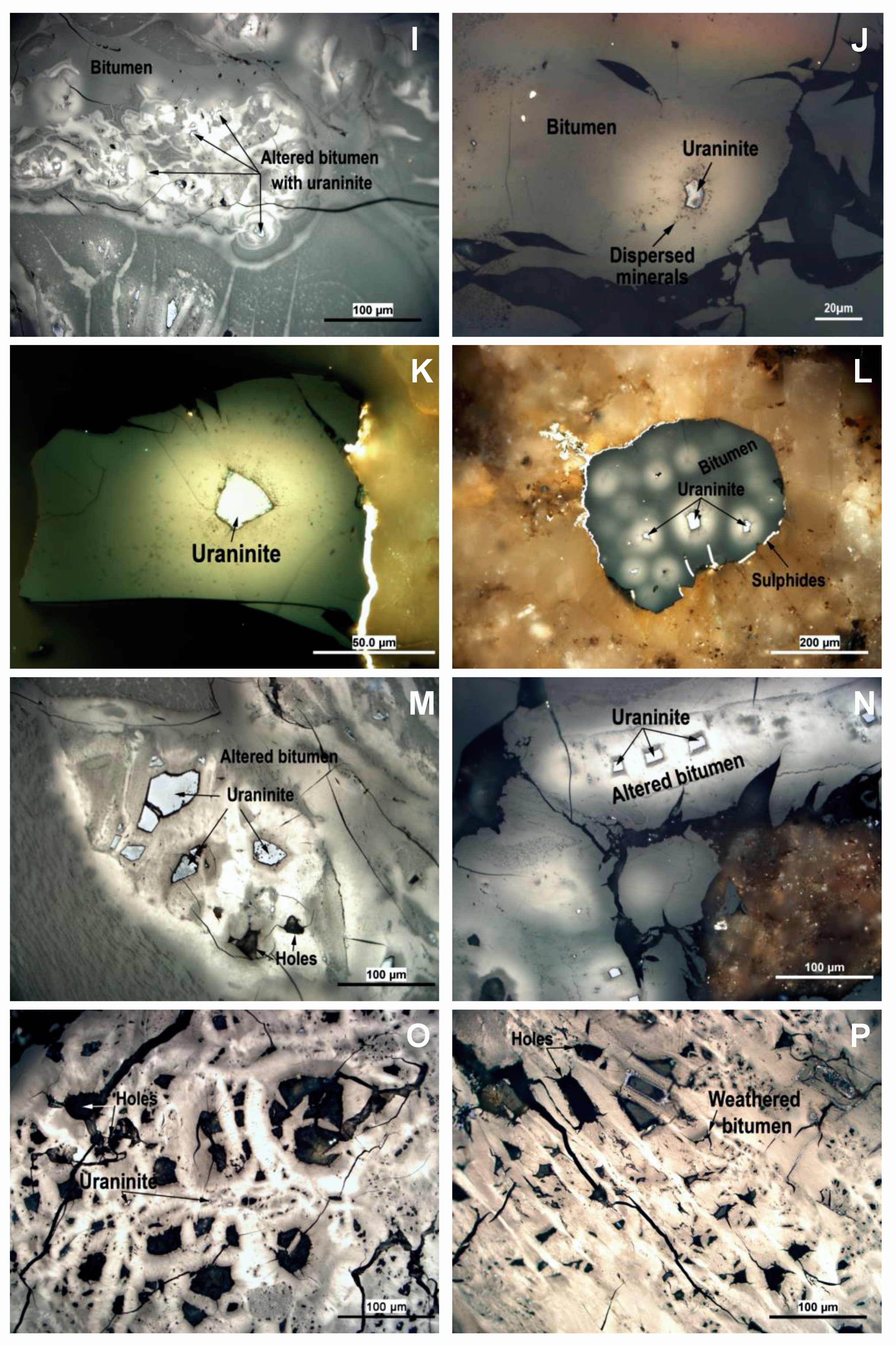 Minerals 12 00544 g006b