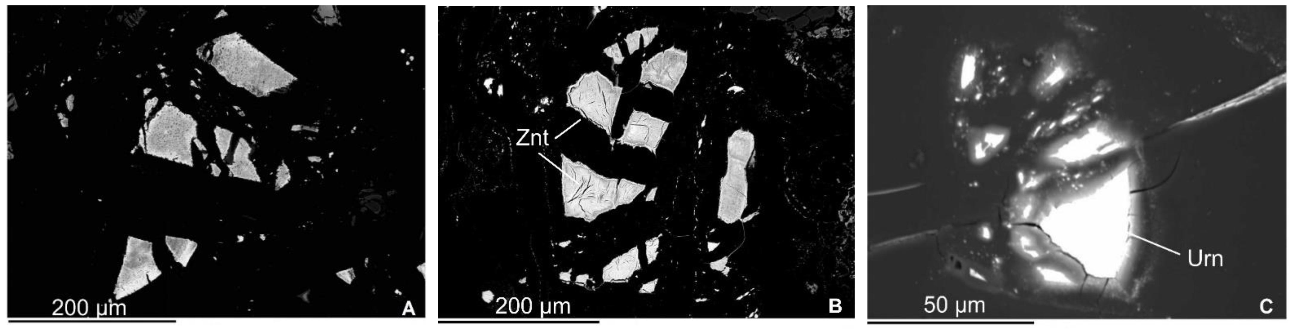 Minerals 12 00544 g008