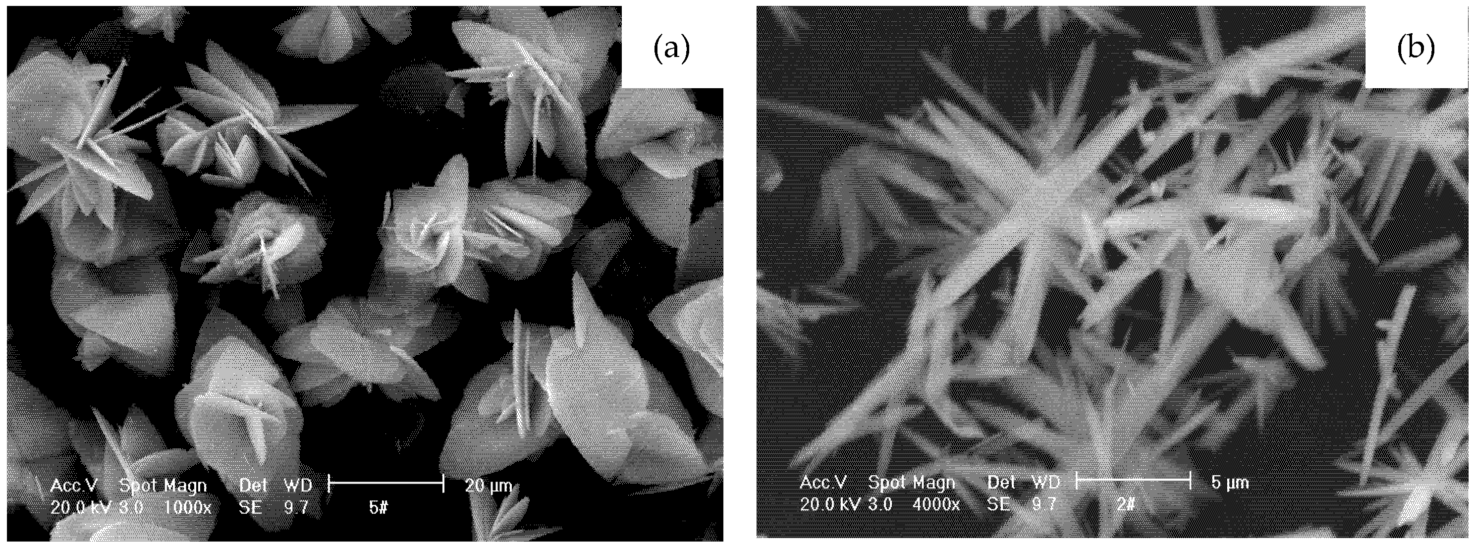 Minerals 12 00554 g013
