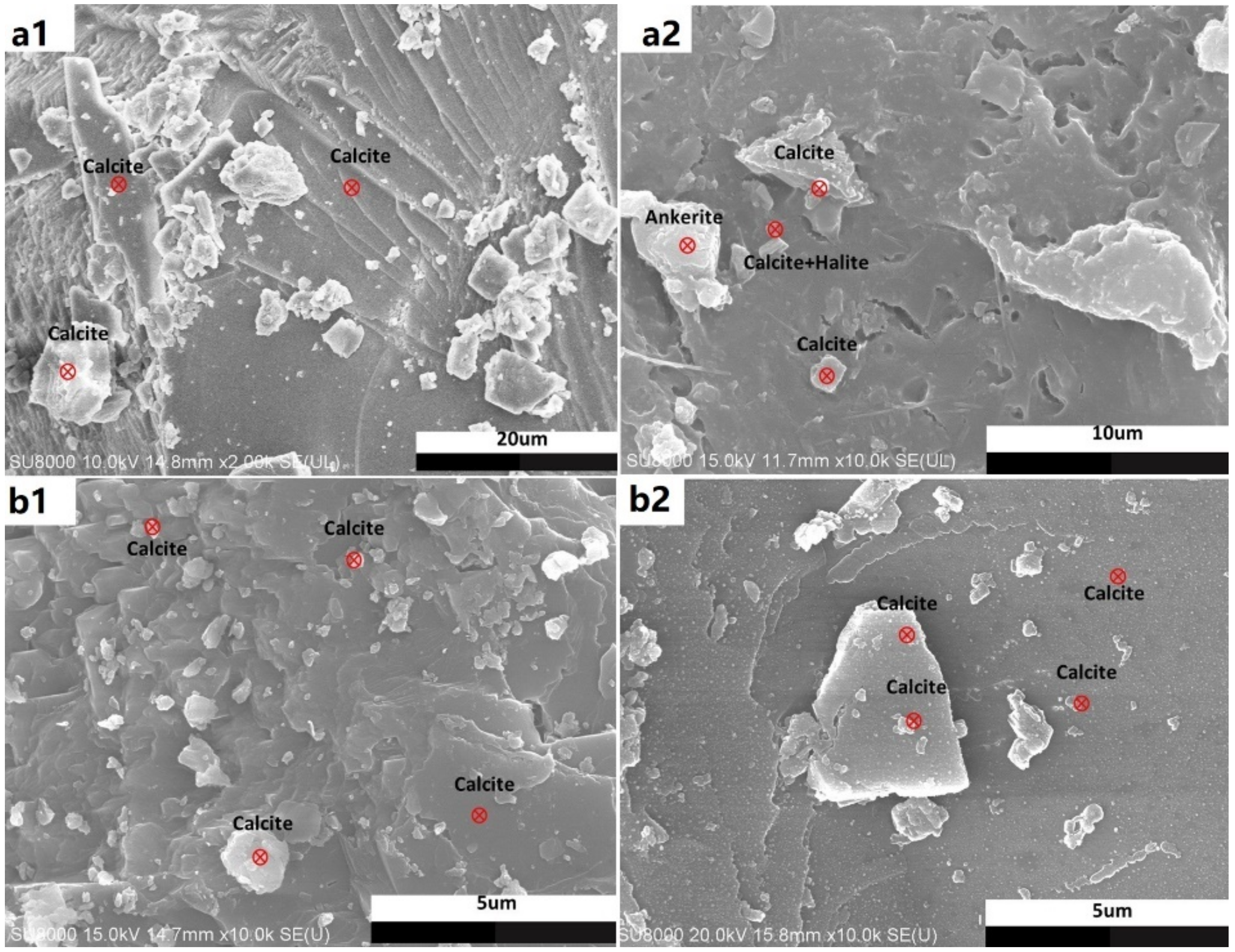 Minerals 12 00635 g007