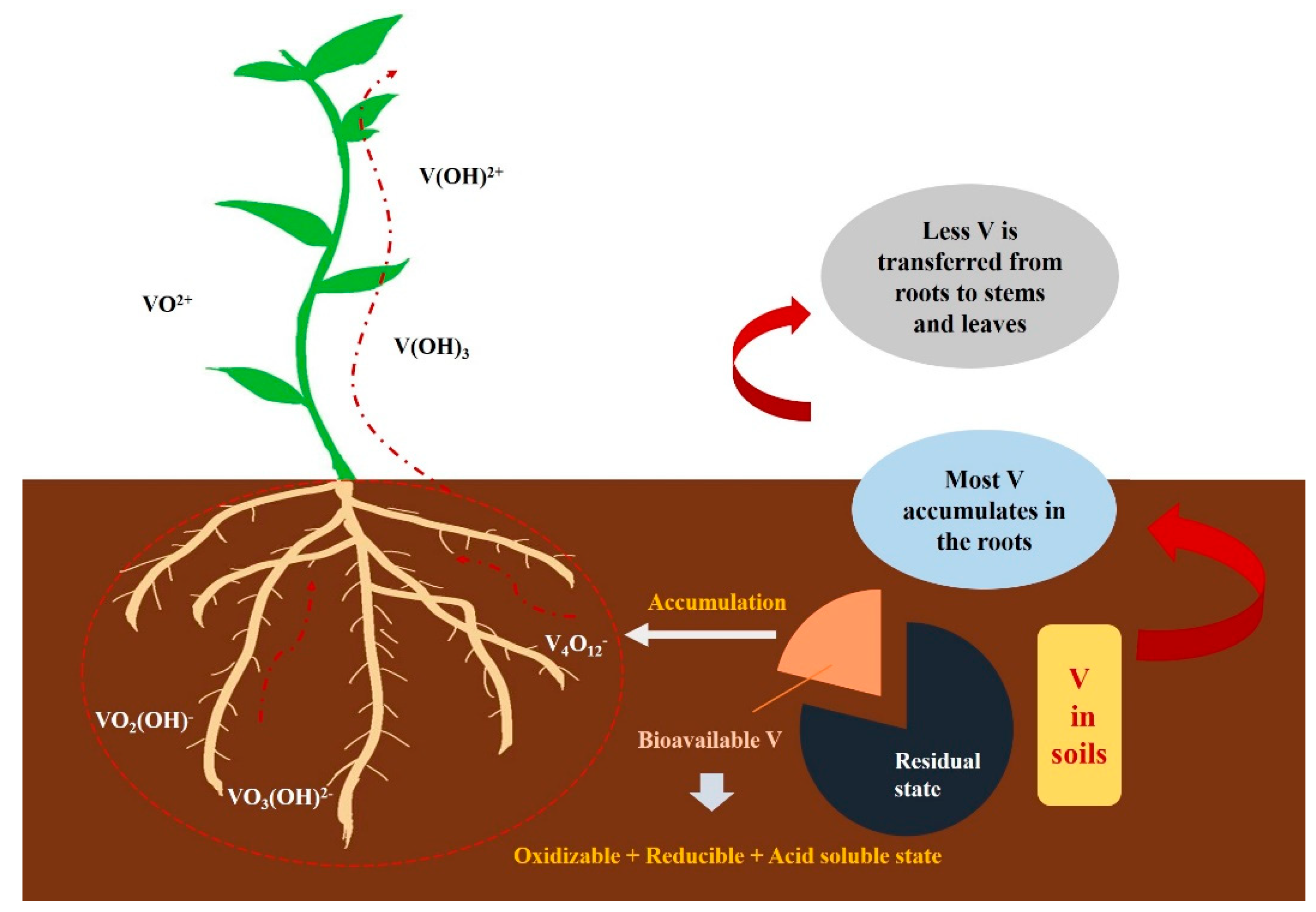 Minerals 12 00642 g001