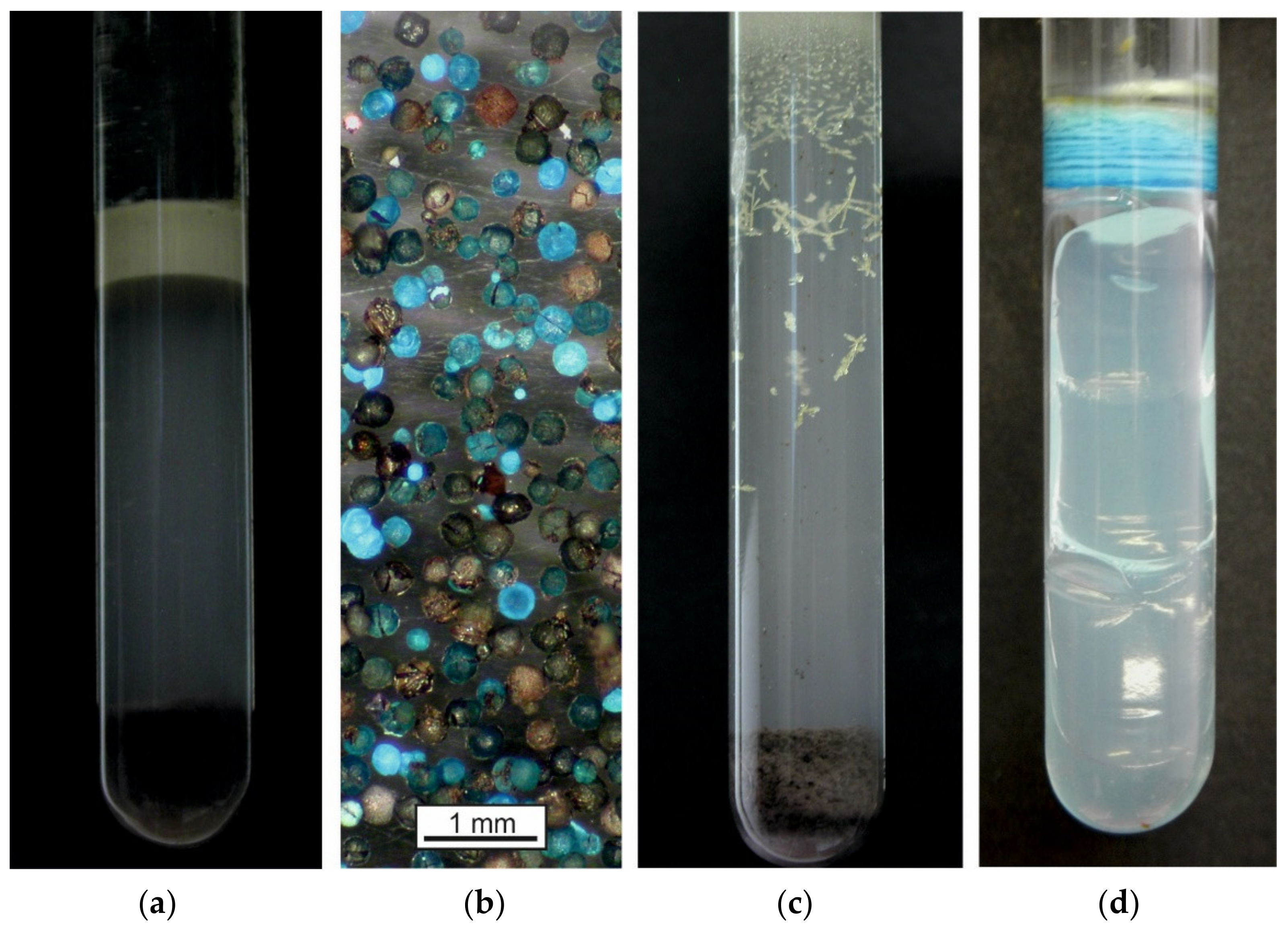 Minerals 12 00645 g007
