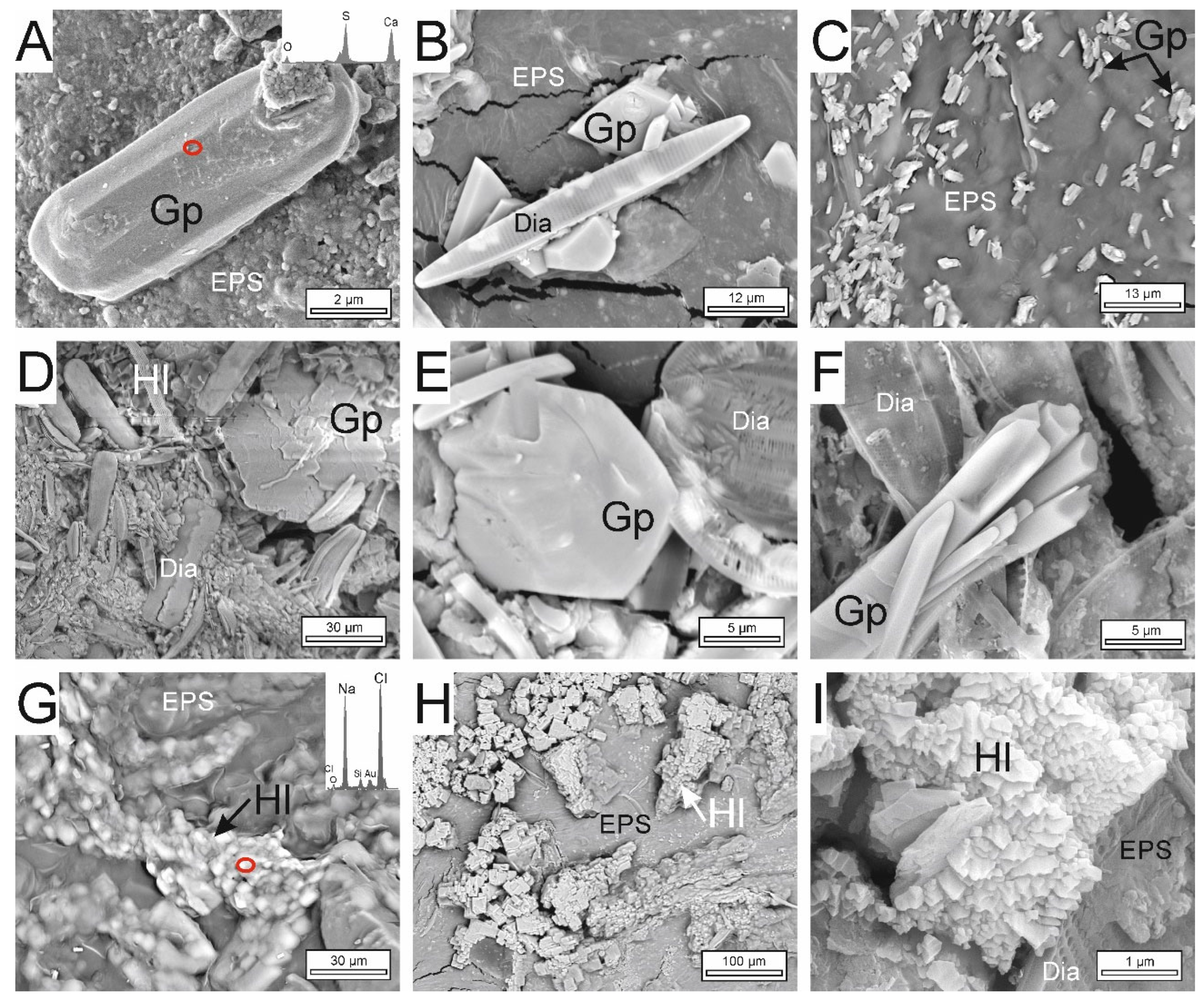 Minerals 12 00646 g009 Minerals 12 00646 g009