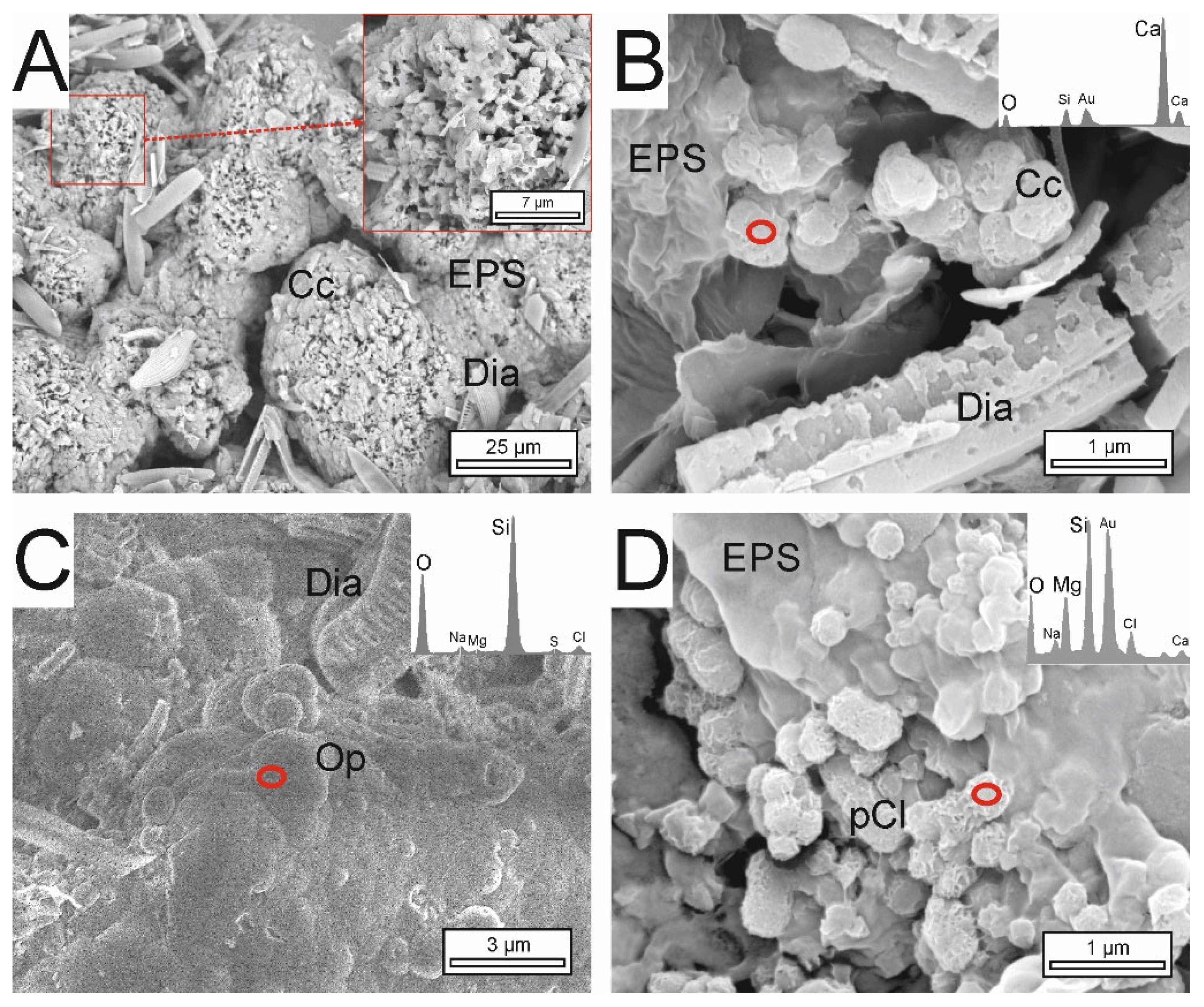 Minerals 12 00646 g010 Minerals 12 00646 g010