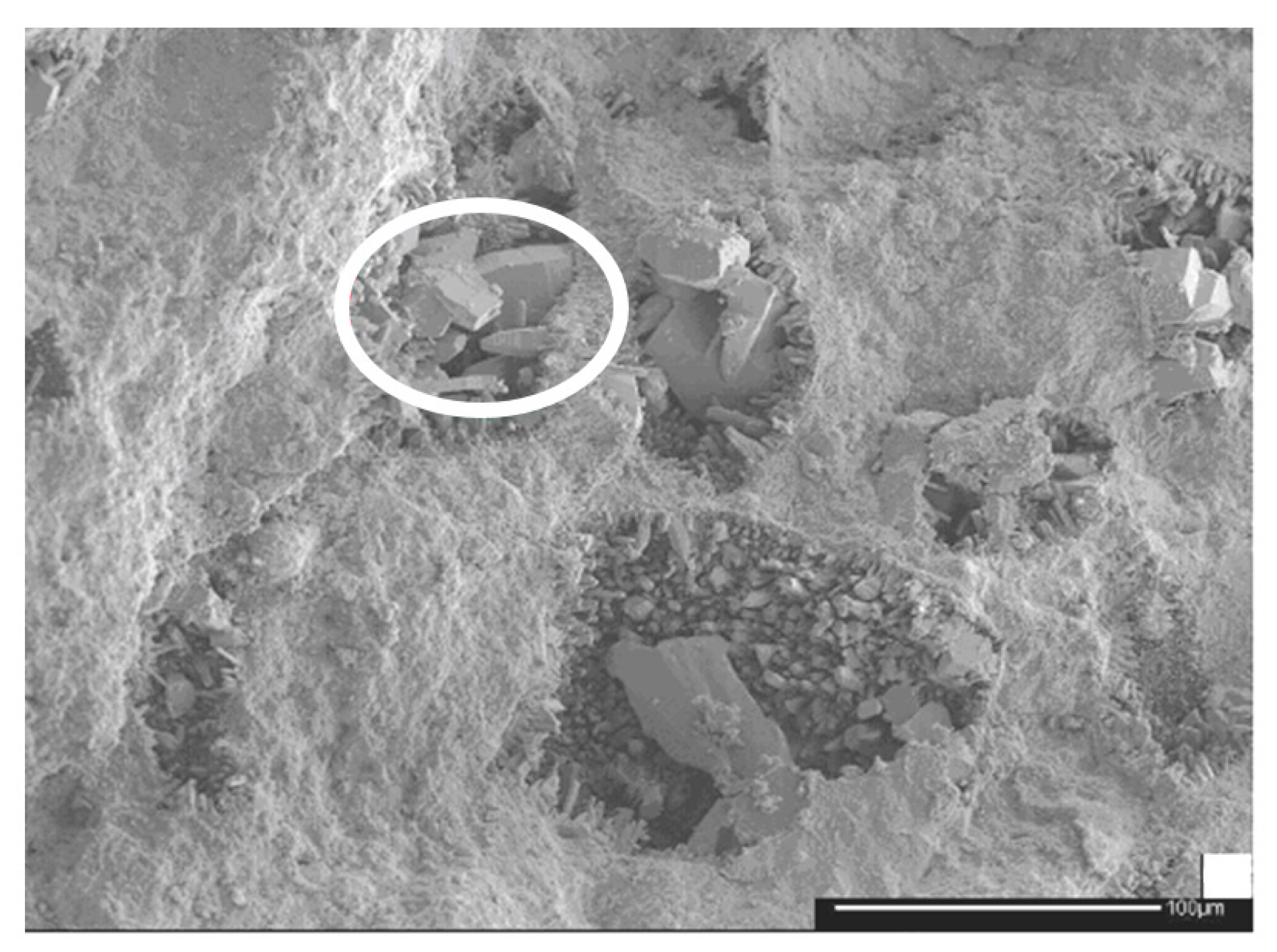 Minerals 12 00648 g001