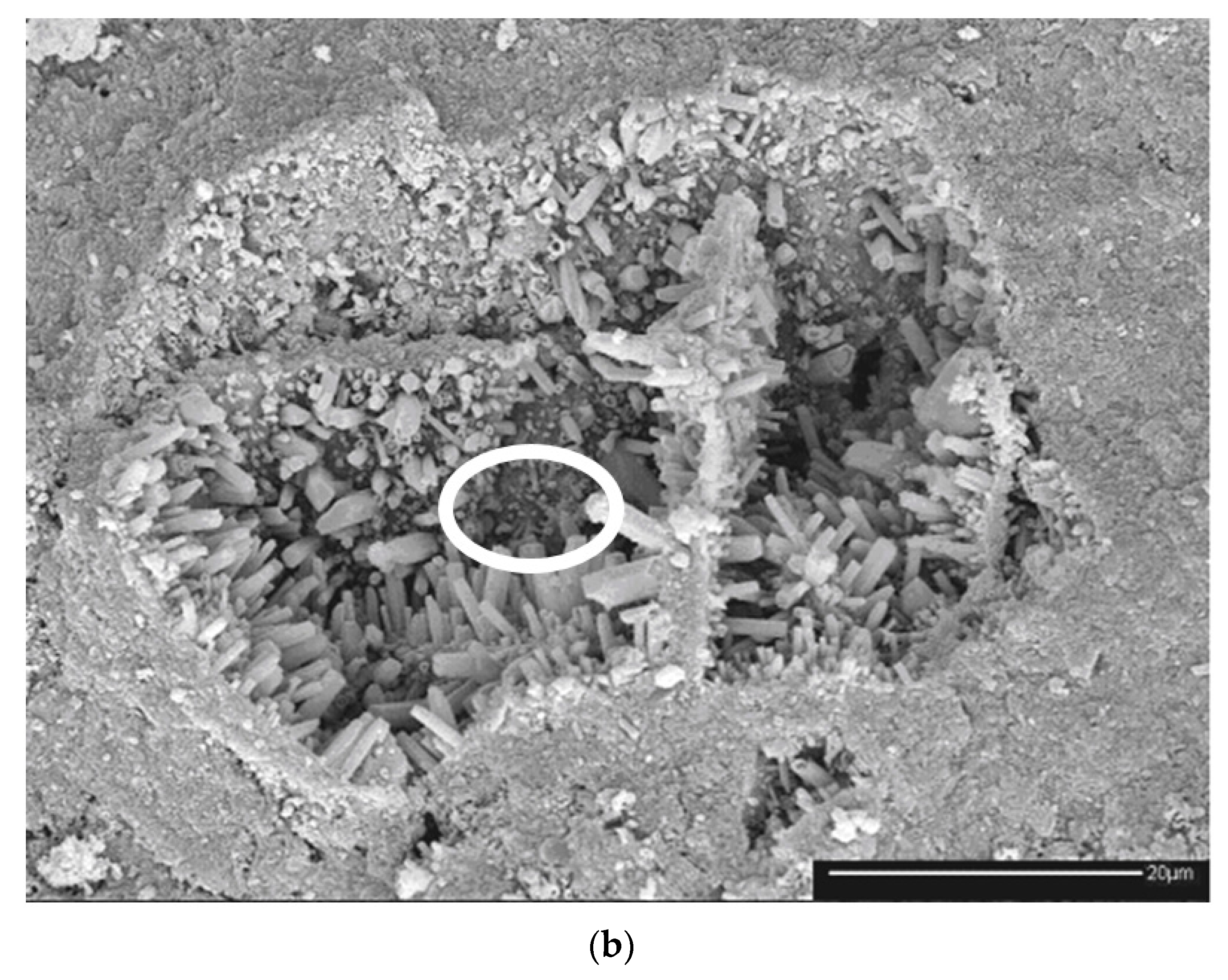 Minerals 12 00648 g021b