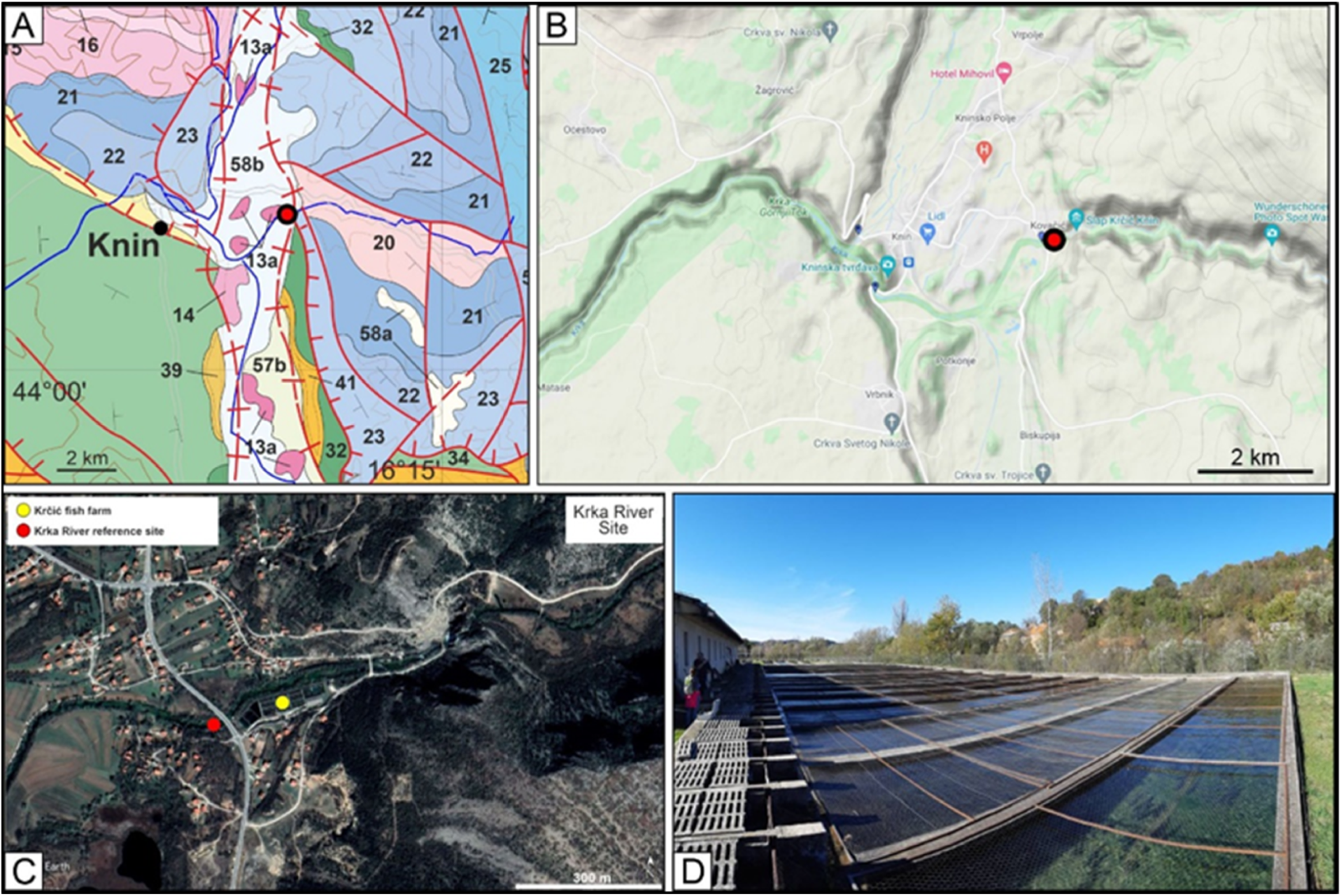 Minerals 12 00696 g003