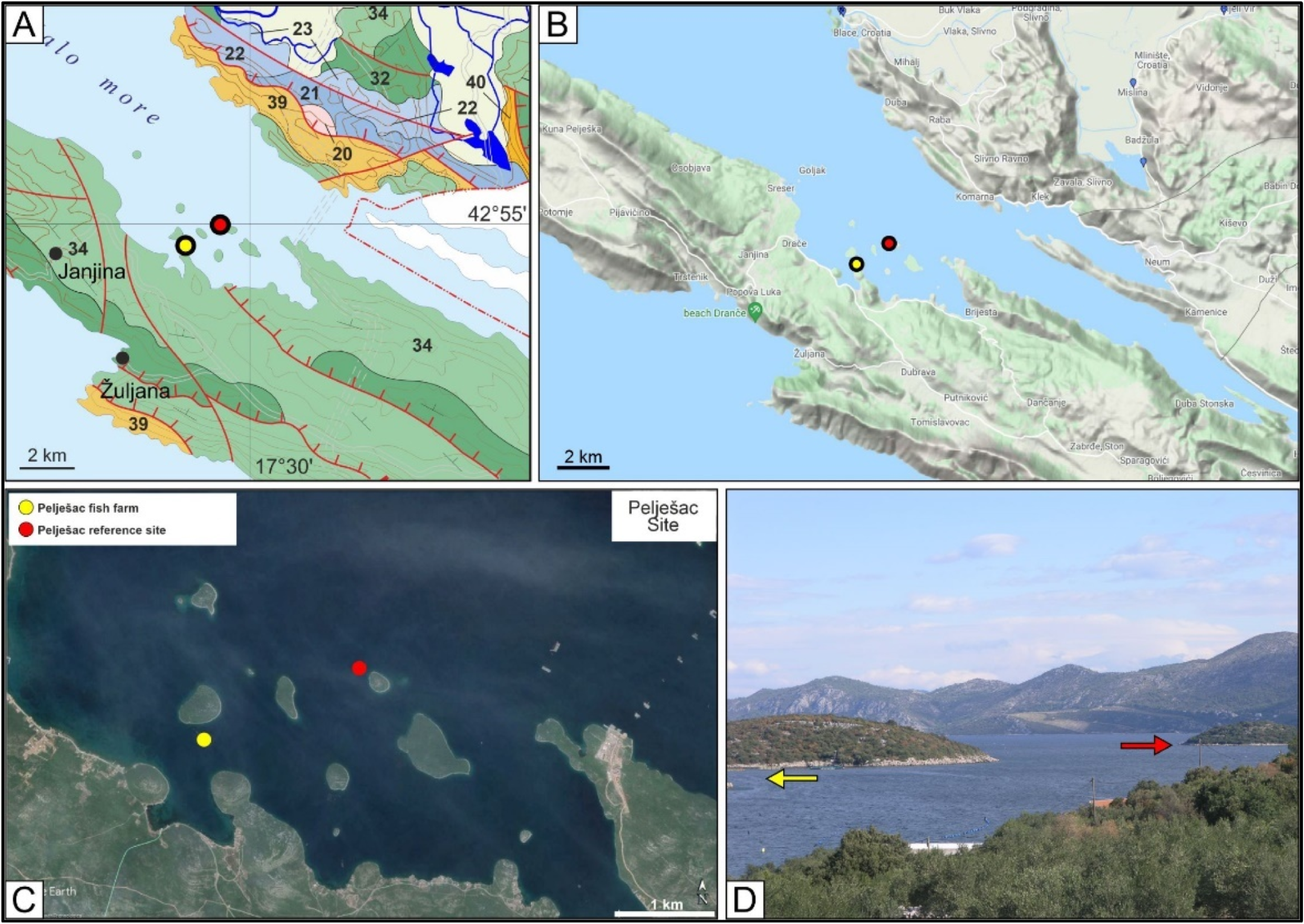 Minerals 12 00696 g004