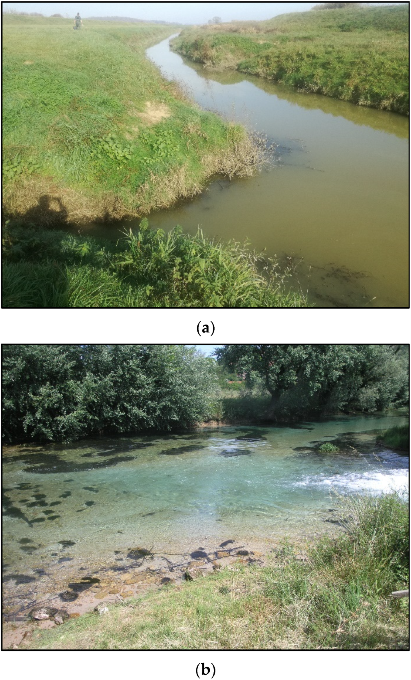 Minerals 12 00696 g006