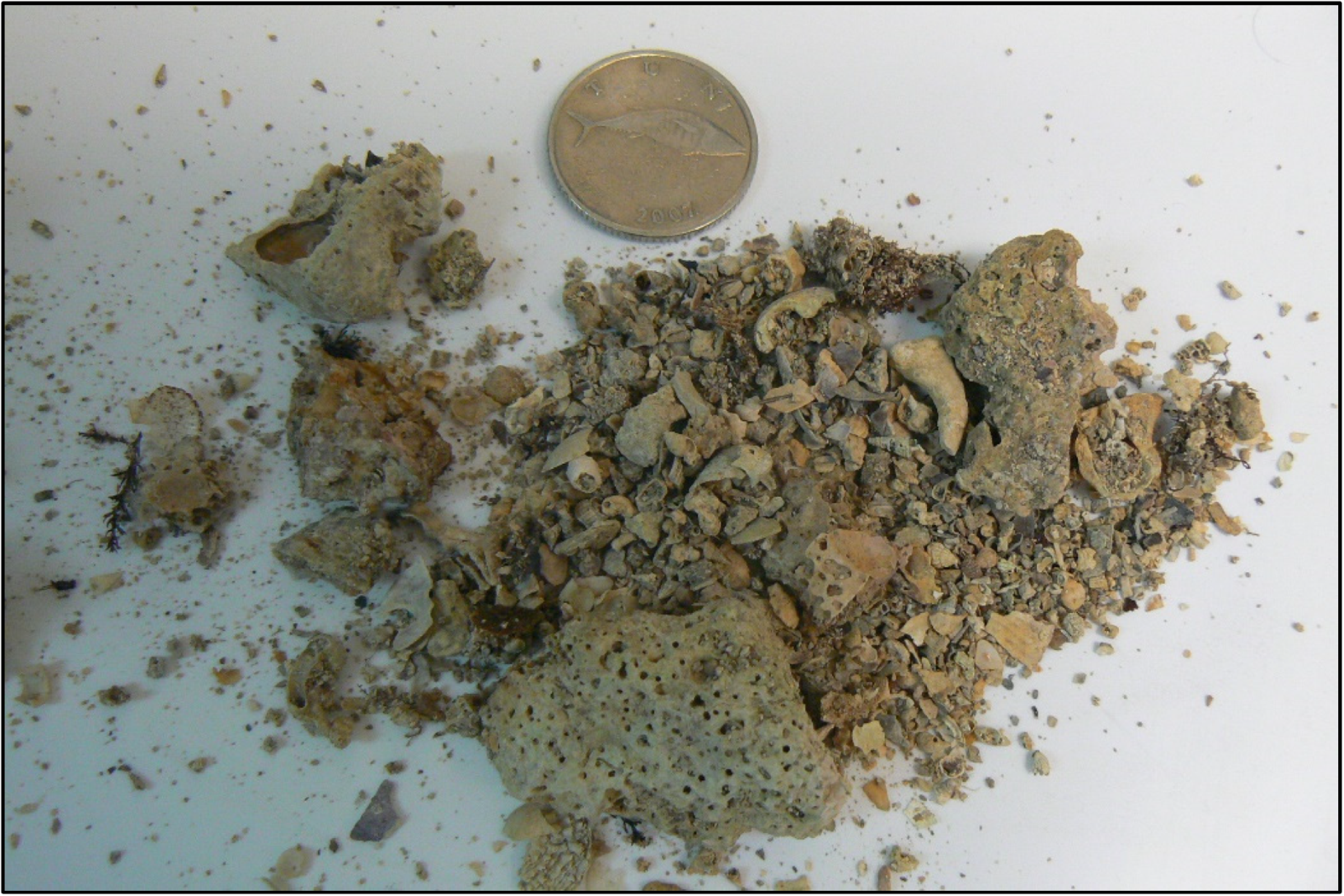 Minerals 12 00696 g007