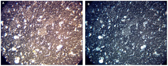 Minerals 12 00728 g0a10 550