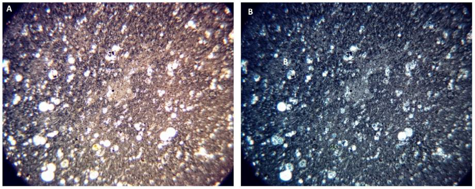 Minerals 12 00728 g0a10