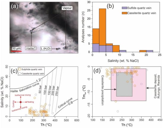 Minerals 12 00761 g013