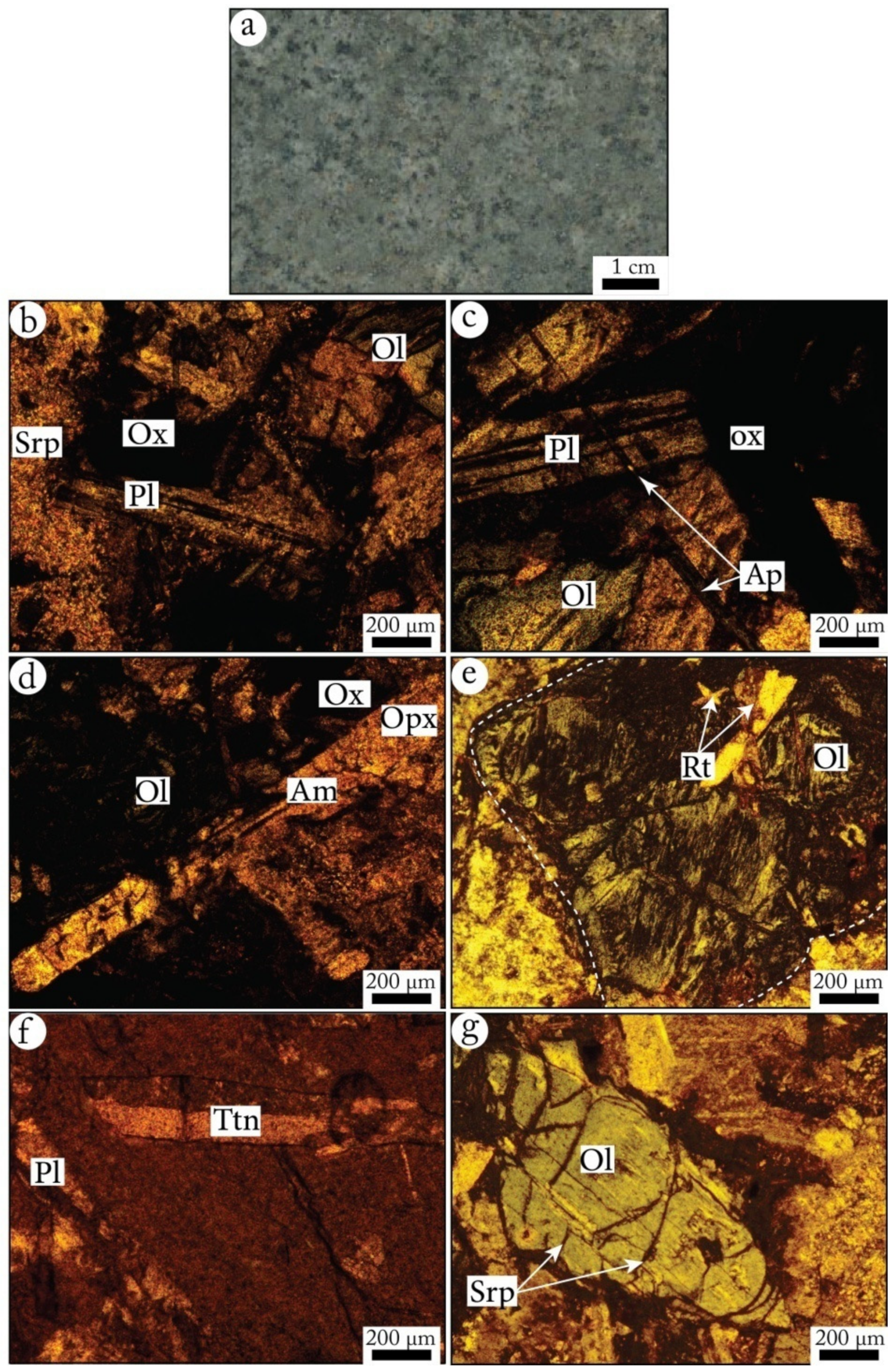 Minerals 12 00790 g010