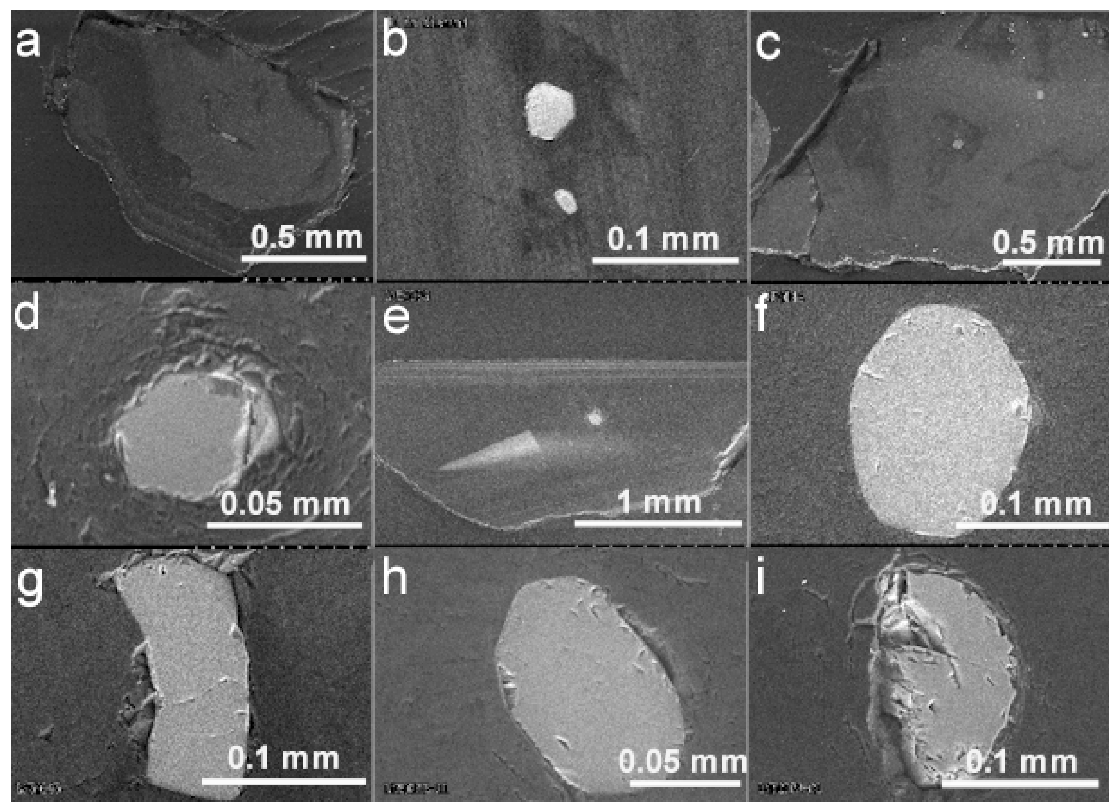 Minerals 12 00844 g002