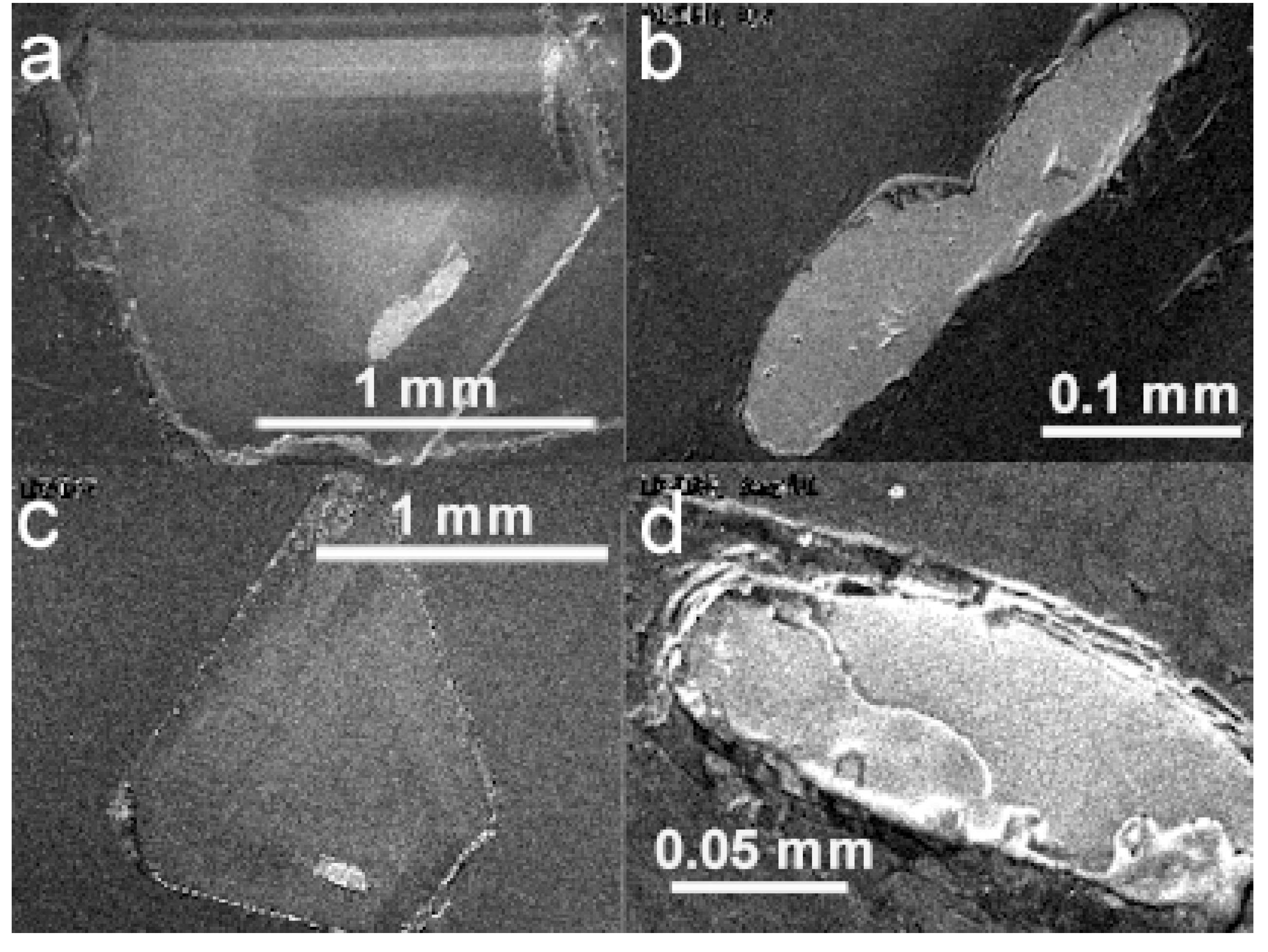 Minerals 12 00844 g005