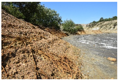 Minerals 12 00848 i003